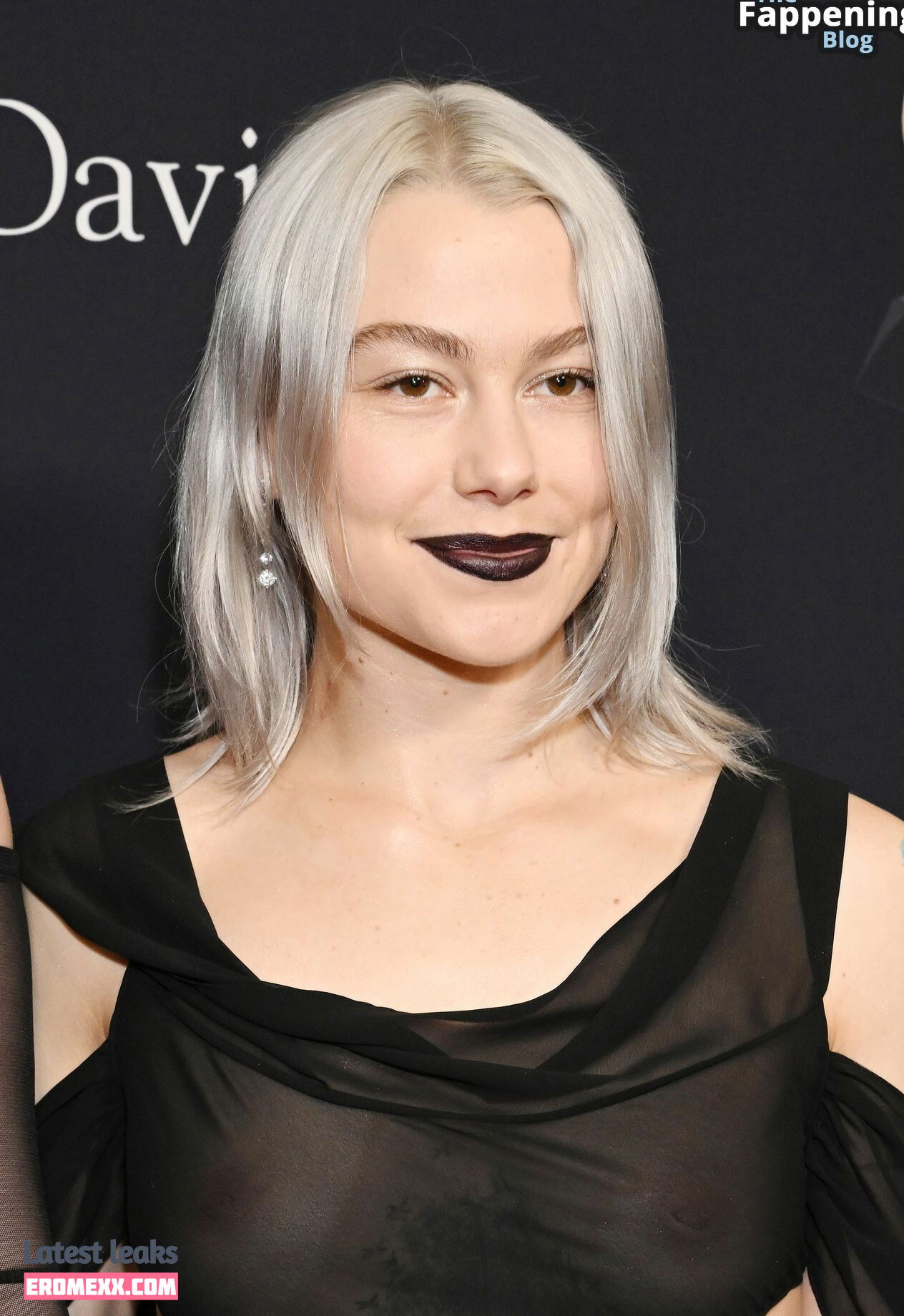 Latest Leaks Phoebe Bridgers Nude #41 - Fapello