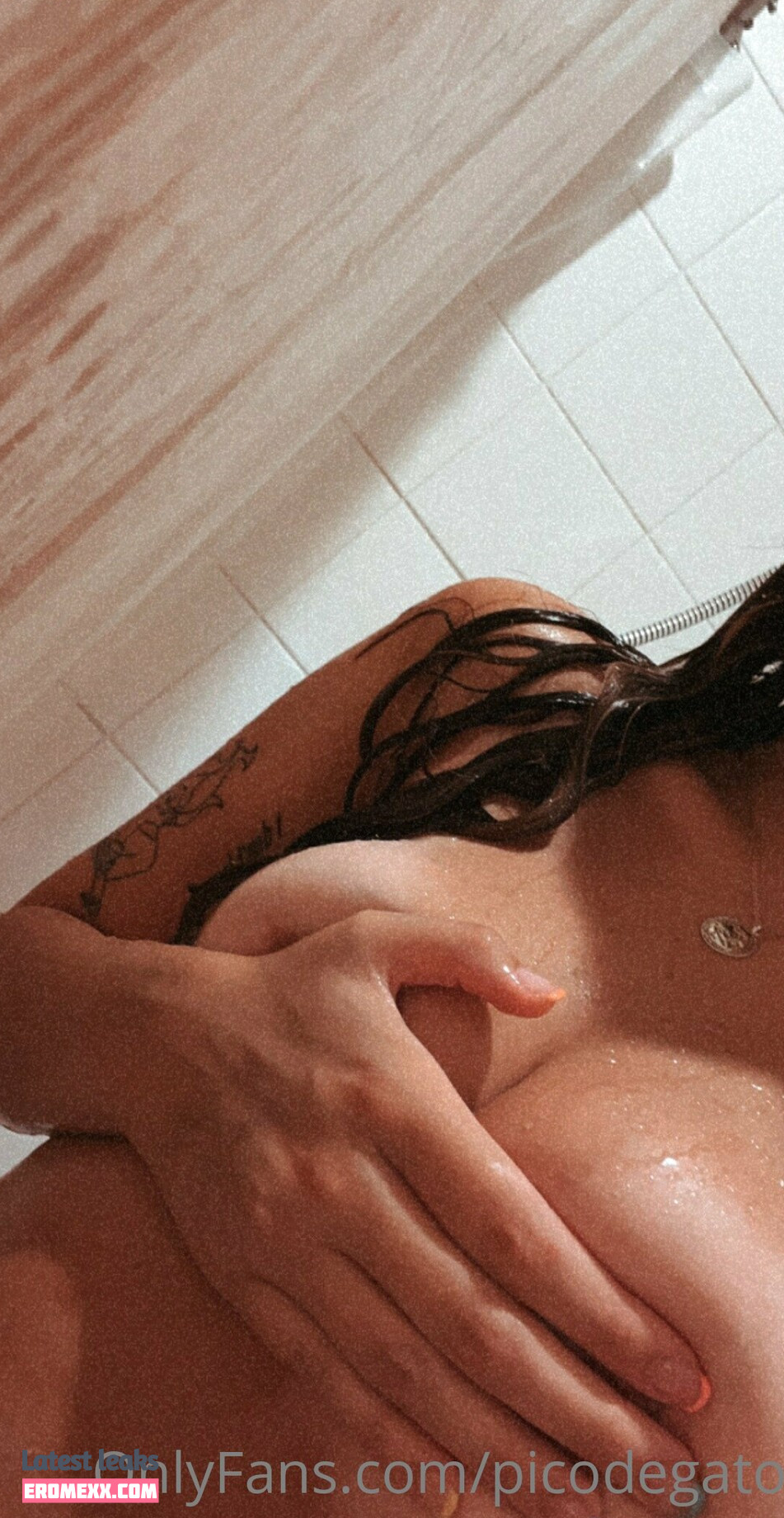 Latest Leaks Picodegator Nude #13 - Fapello