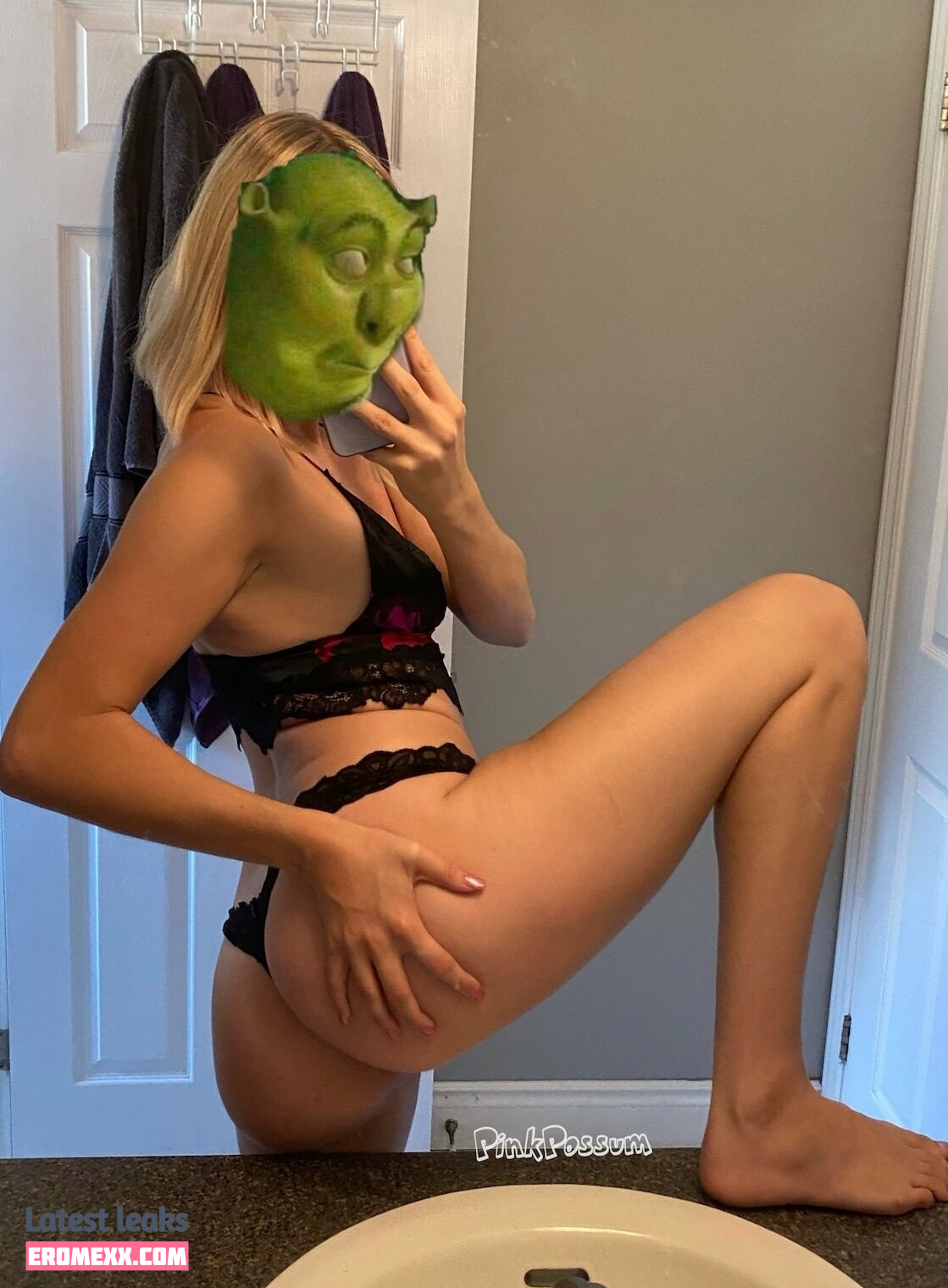 Latest Leaks pinkpossum Nude #9 - Fapello