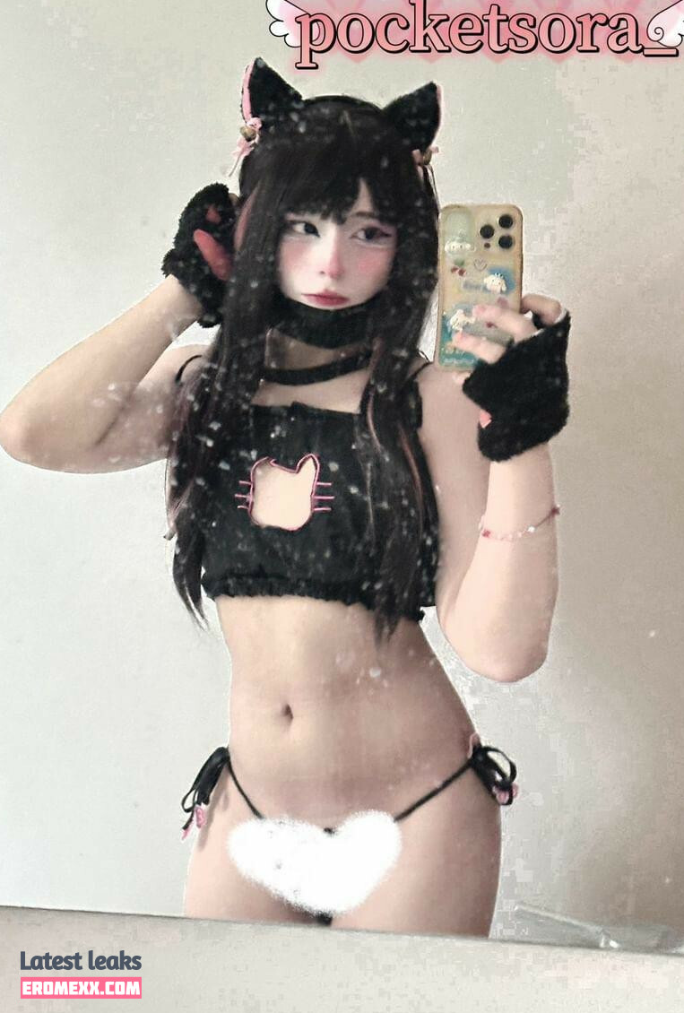 Latest Leaks PocketSora Nude #4 - Fapello