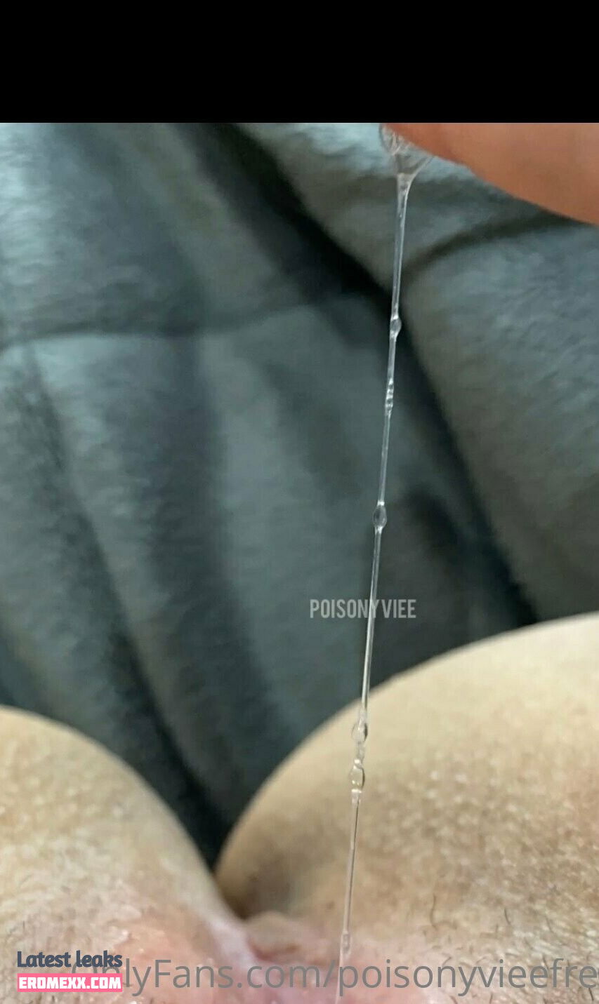 Latest Leaks poisonyvieefree Nude #11 - Fapello