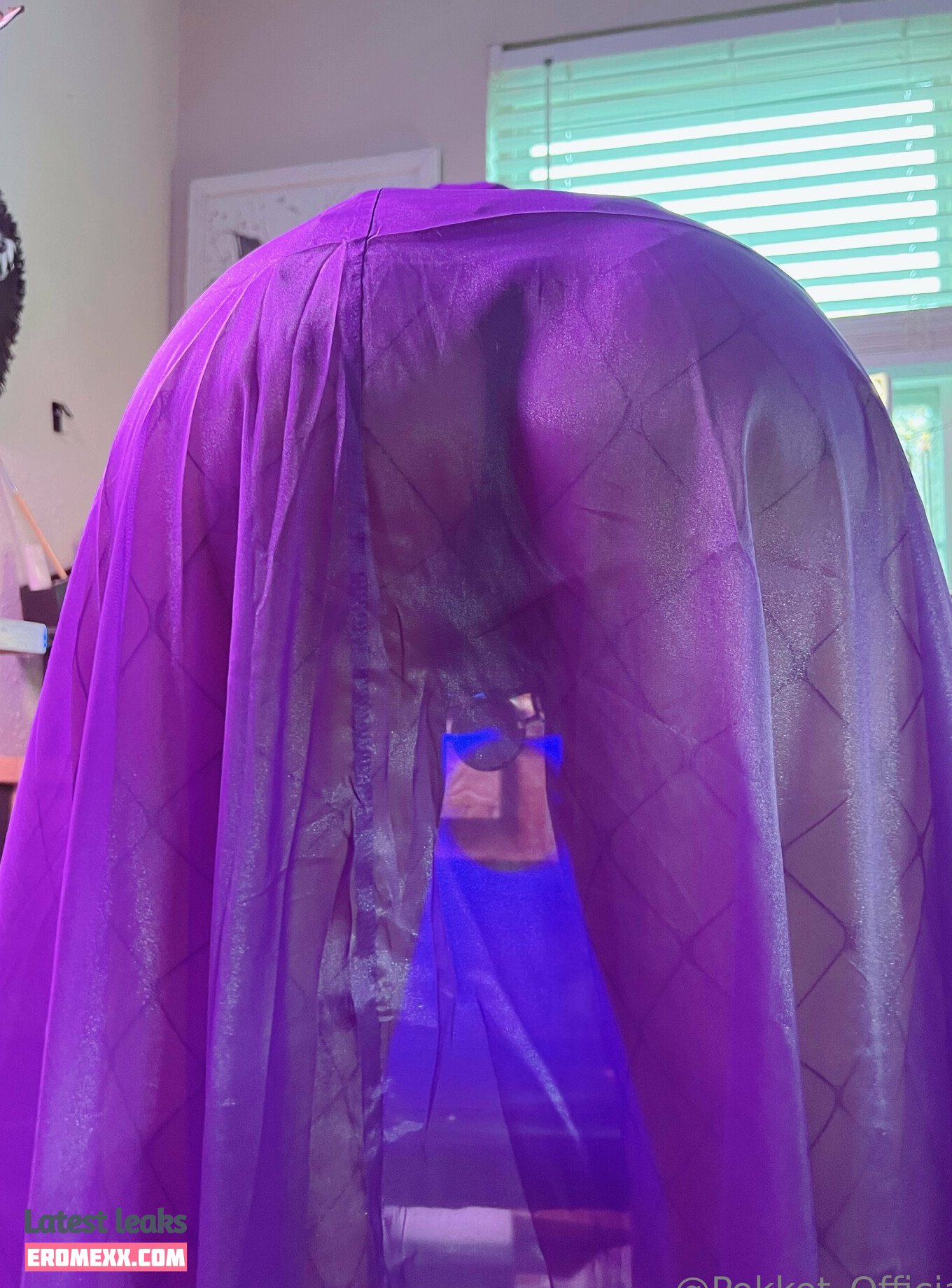 Latest Leaks Pokket Nude #544 - Fapello
