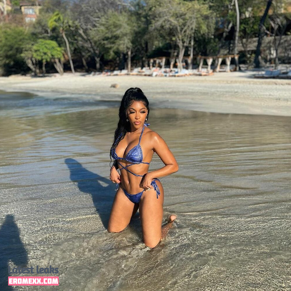 Latest Leaks Porsha Williams Nude #29 - Fapello