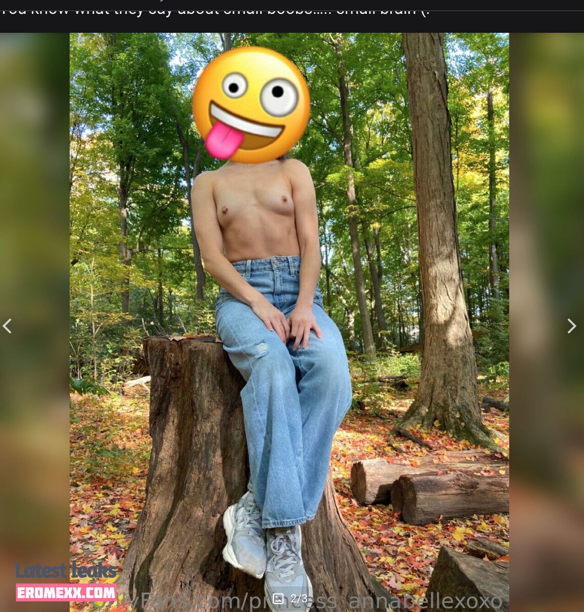 Latest Leaks princess_annabellexoxo Nude #4 - Fapello
