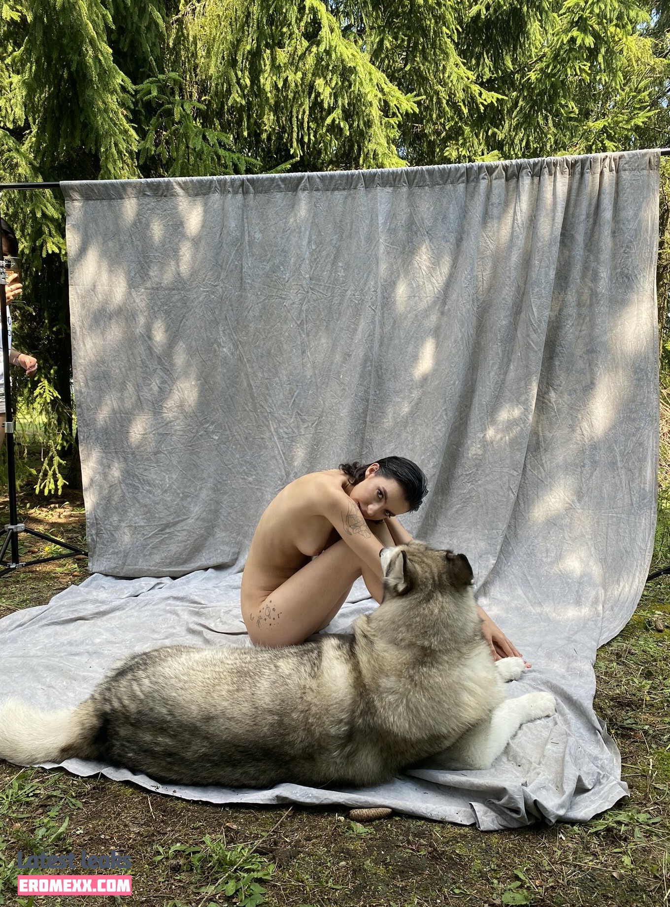 Latest Leaks ProjektDeer Nude #11 - Fapello