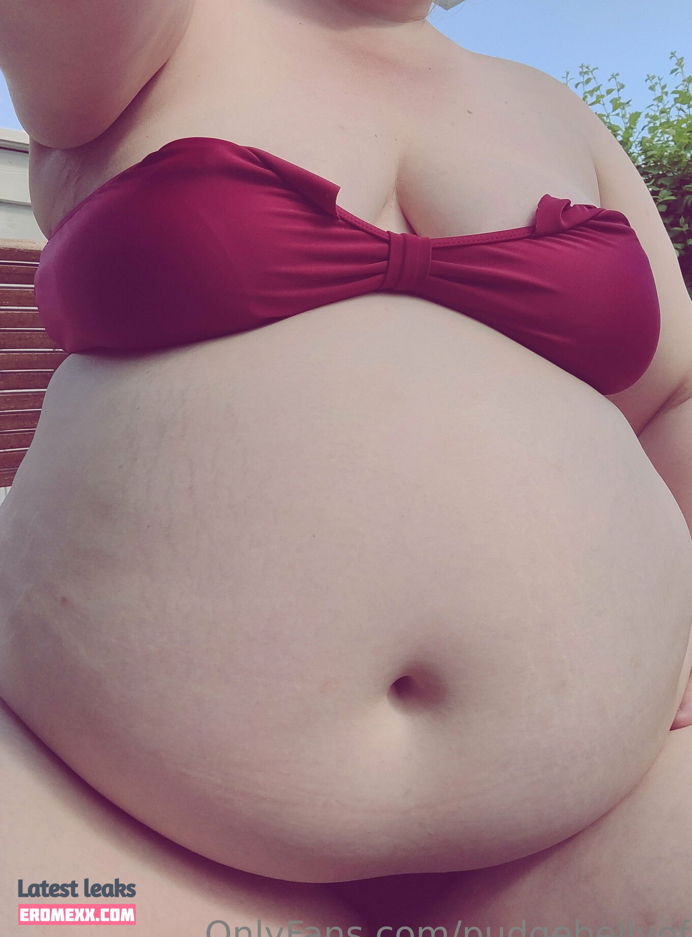 Latest Leaks pudgebellyofc Nude #2 - Fapello