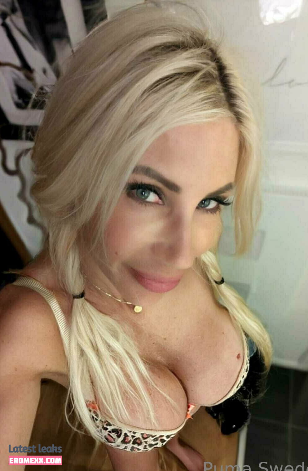 Latest Leaks pumaswede Nude #126 - Fapello