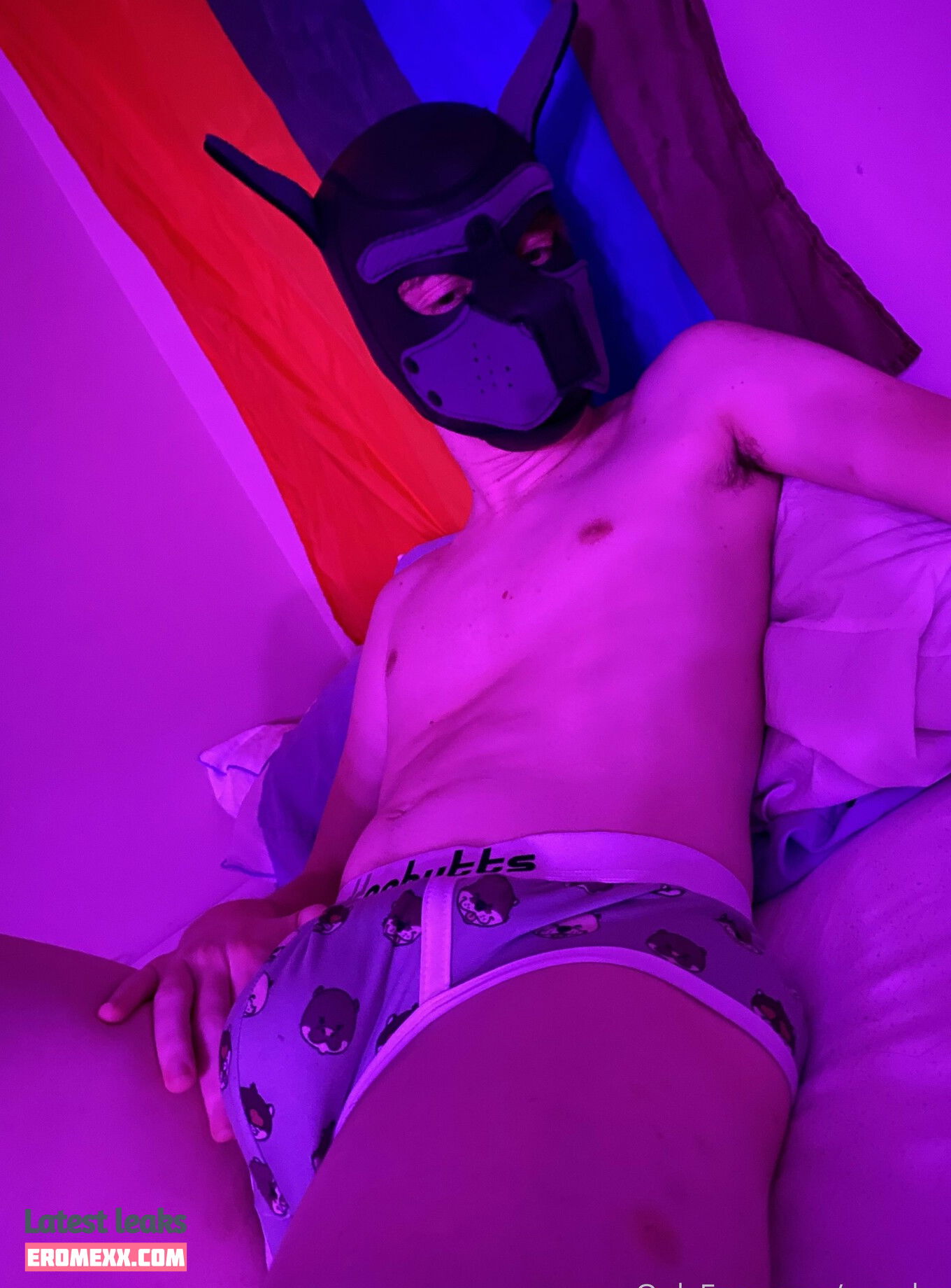 Latest Leaks pup_haze Nude #20 - Fapello