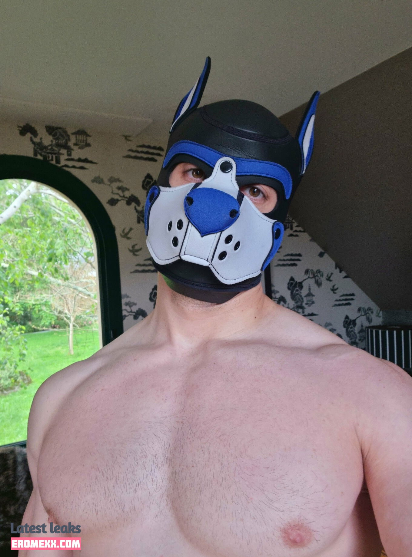 Latest Leaks pupbuday Nude #16 - Fapello