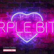 Latest Leaks Purple Bitch Nude #385 - Fapello