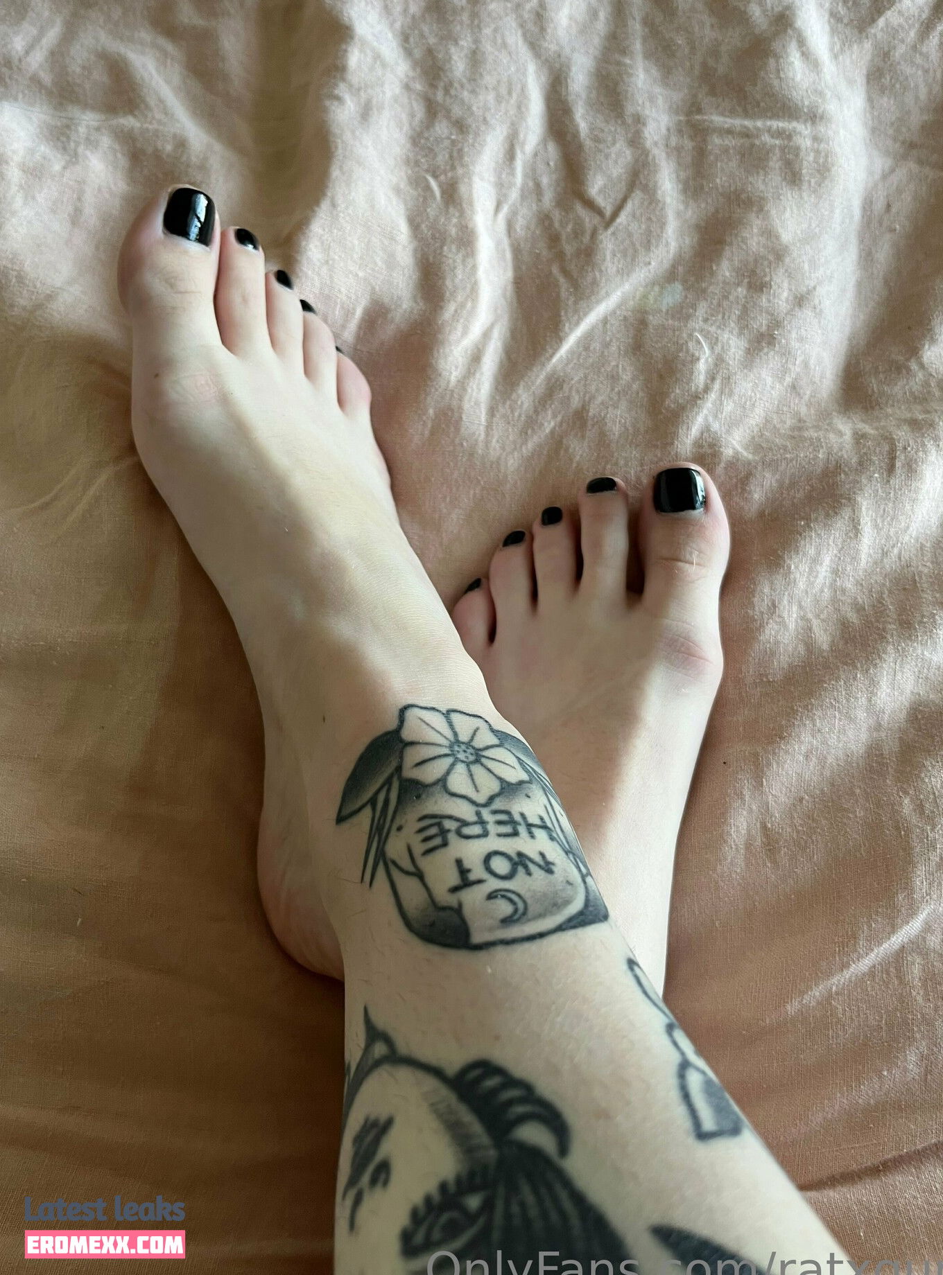 Latest Leaks ratxgurl Nude #51 - Fapello