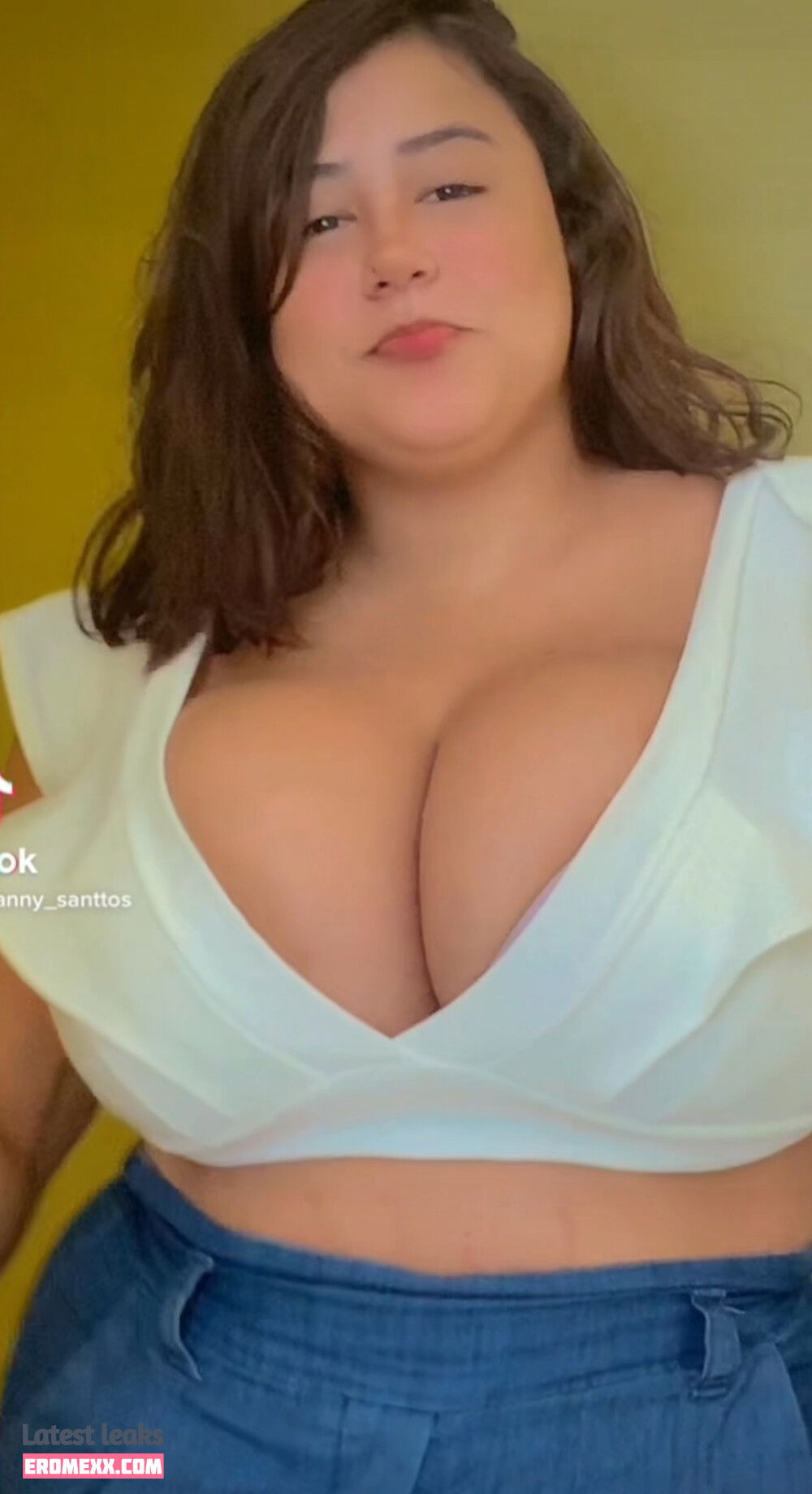 Latest Leaks Rayanny Santos Nude #15 - Erome