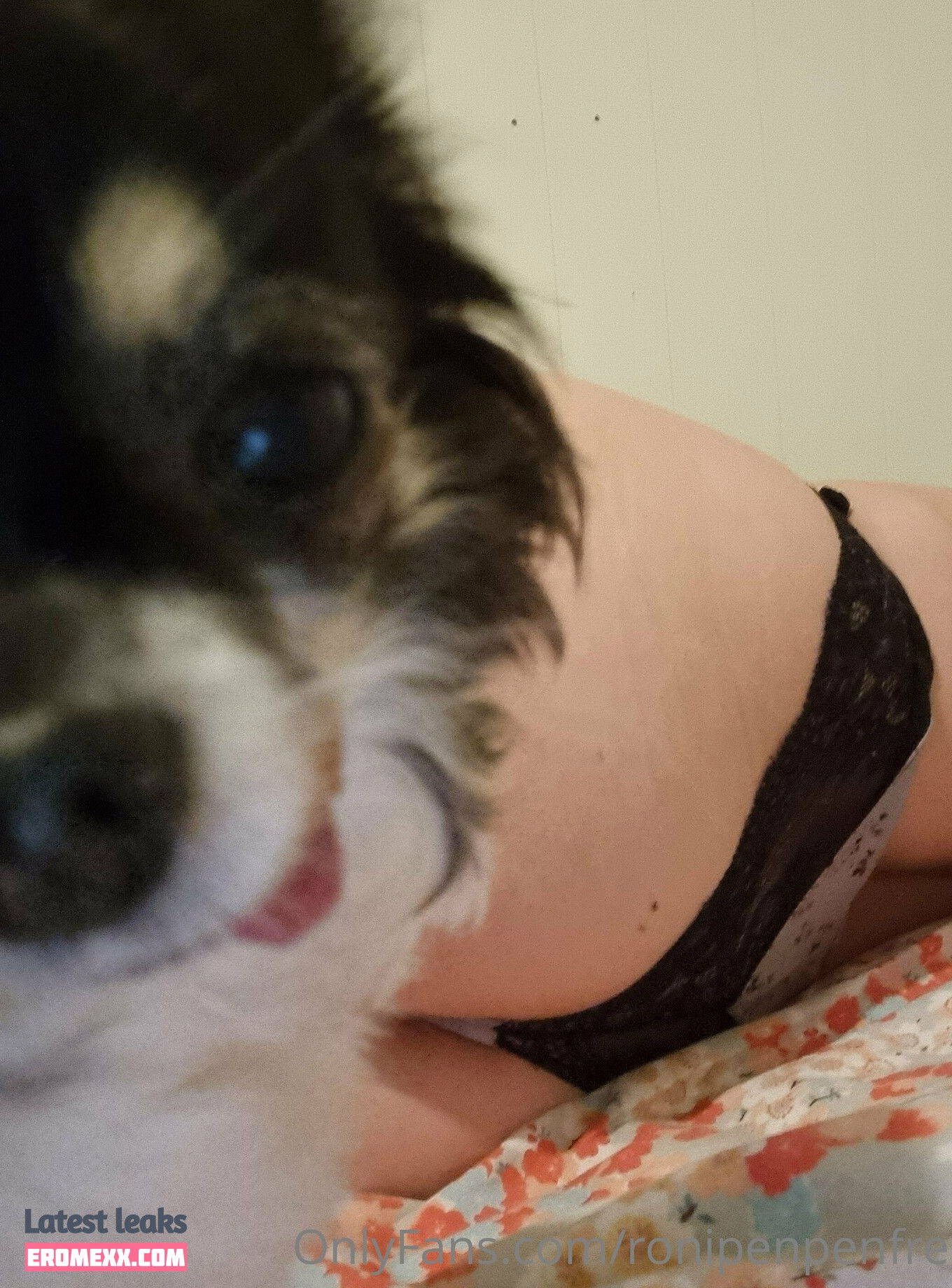 Latest Leaks ronipenpenfree Nude #12 - Erome