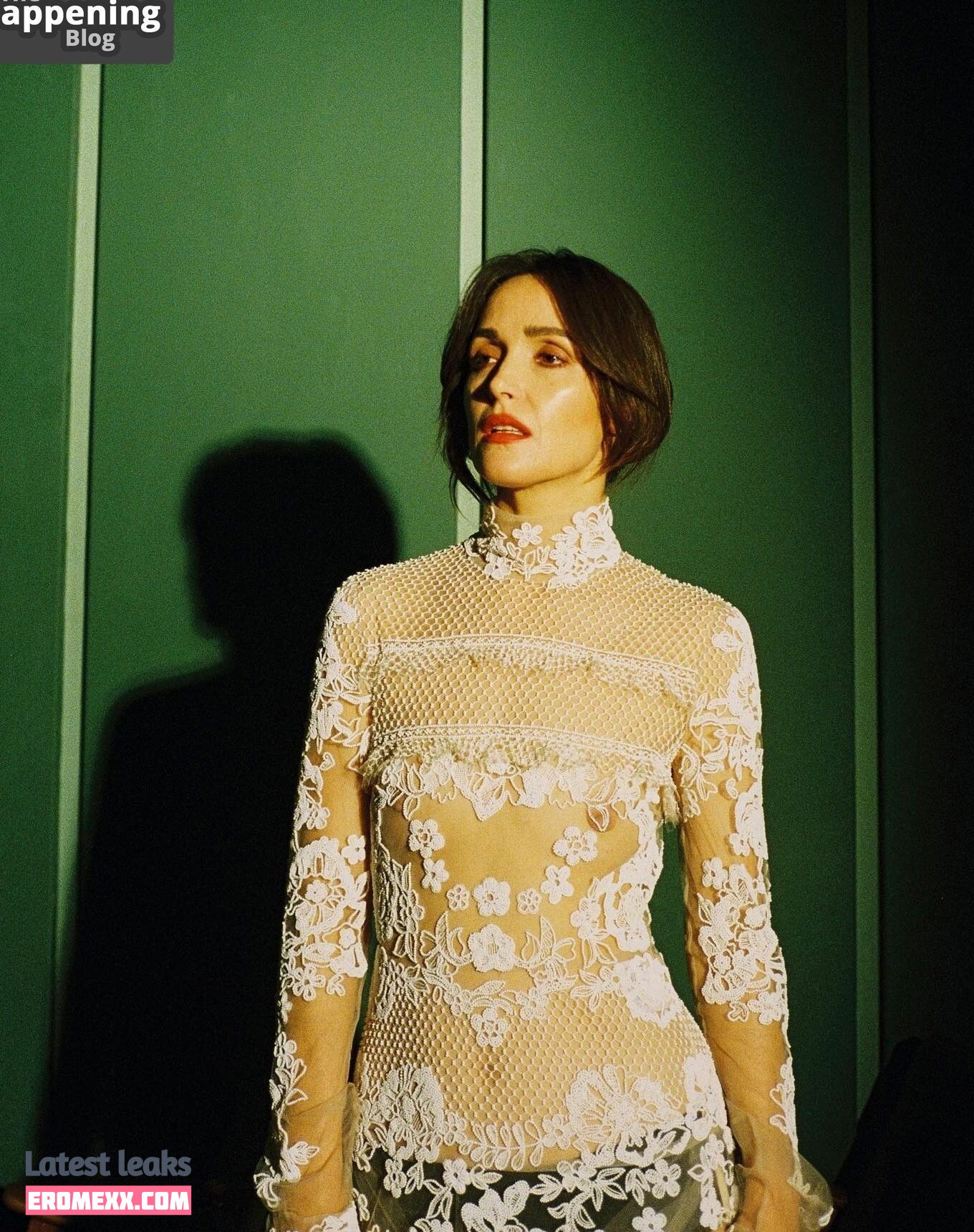 Latest Leaks Rose Byrne Nude #548 - Erome