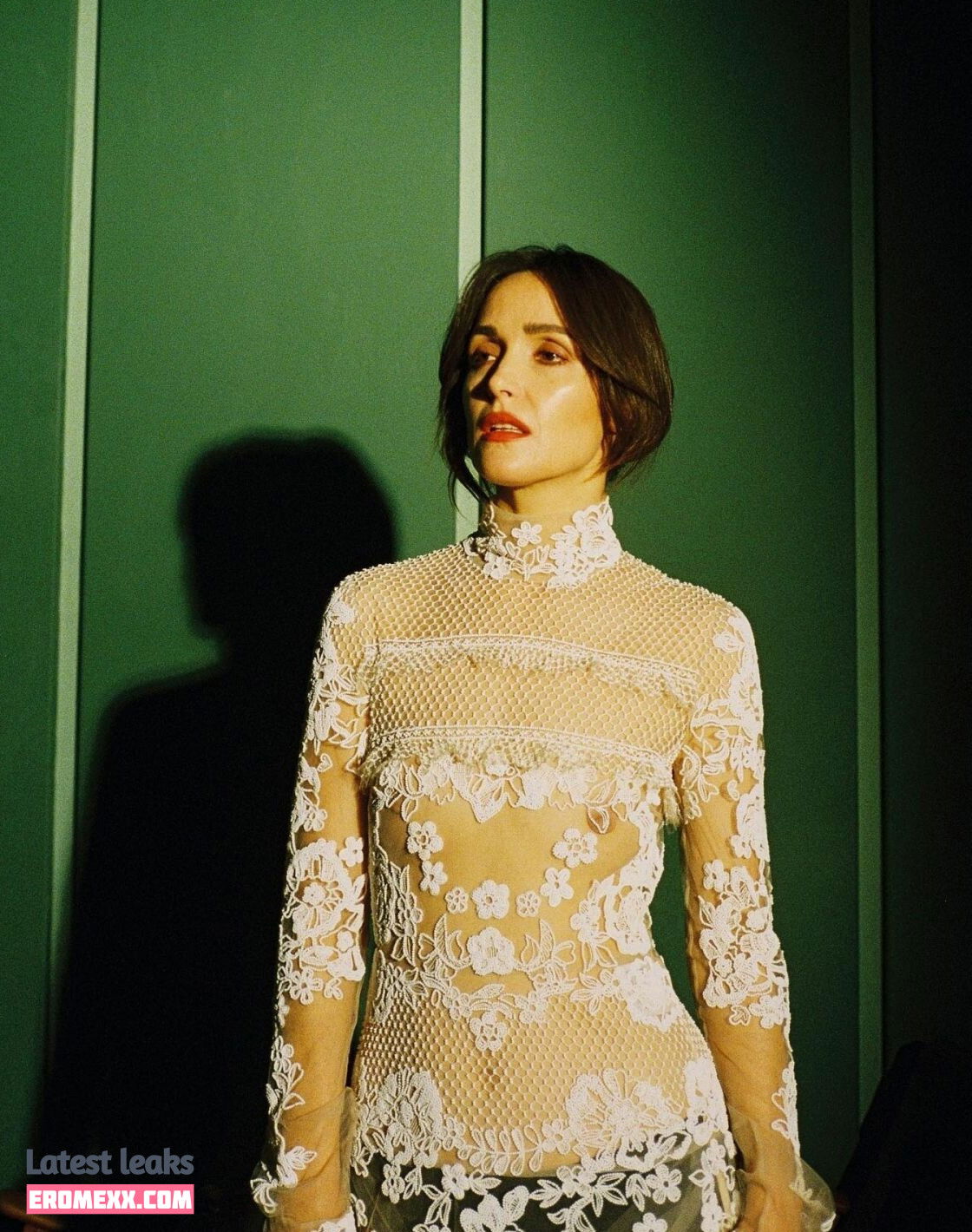 Latest Leaks Rose Byrne Nude #560 - Erome
