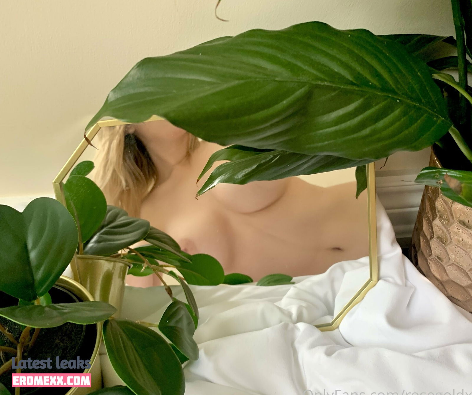Latest Leaks rosegoldxn Nude #5 - Fapello