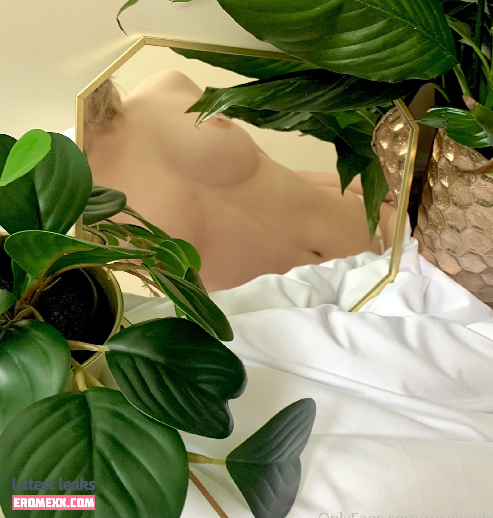 Latest Leaks rosegoldxn Nude #8 - Fapello