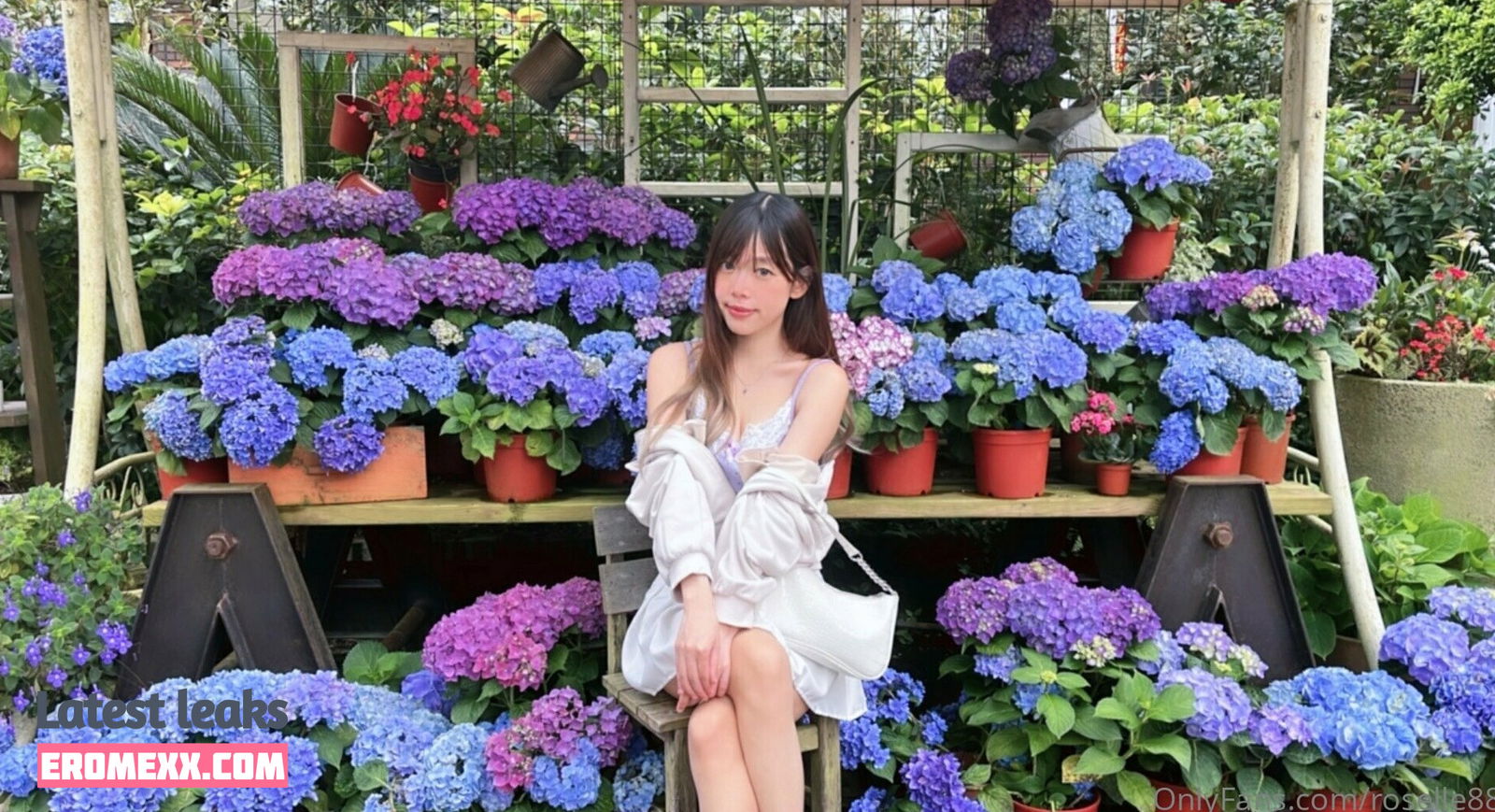 Latest Leaks roselle888 Nude #11 - Fapello