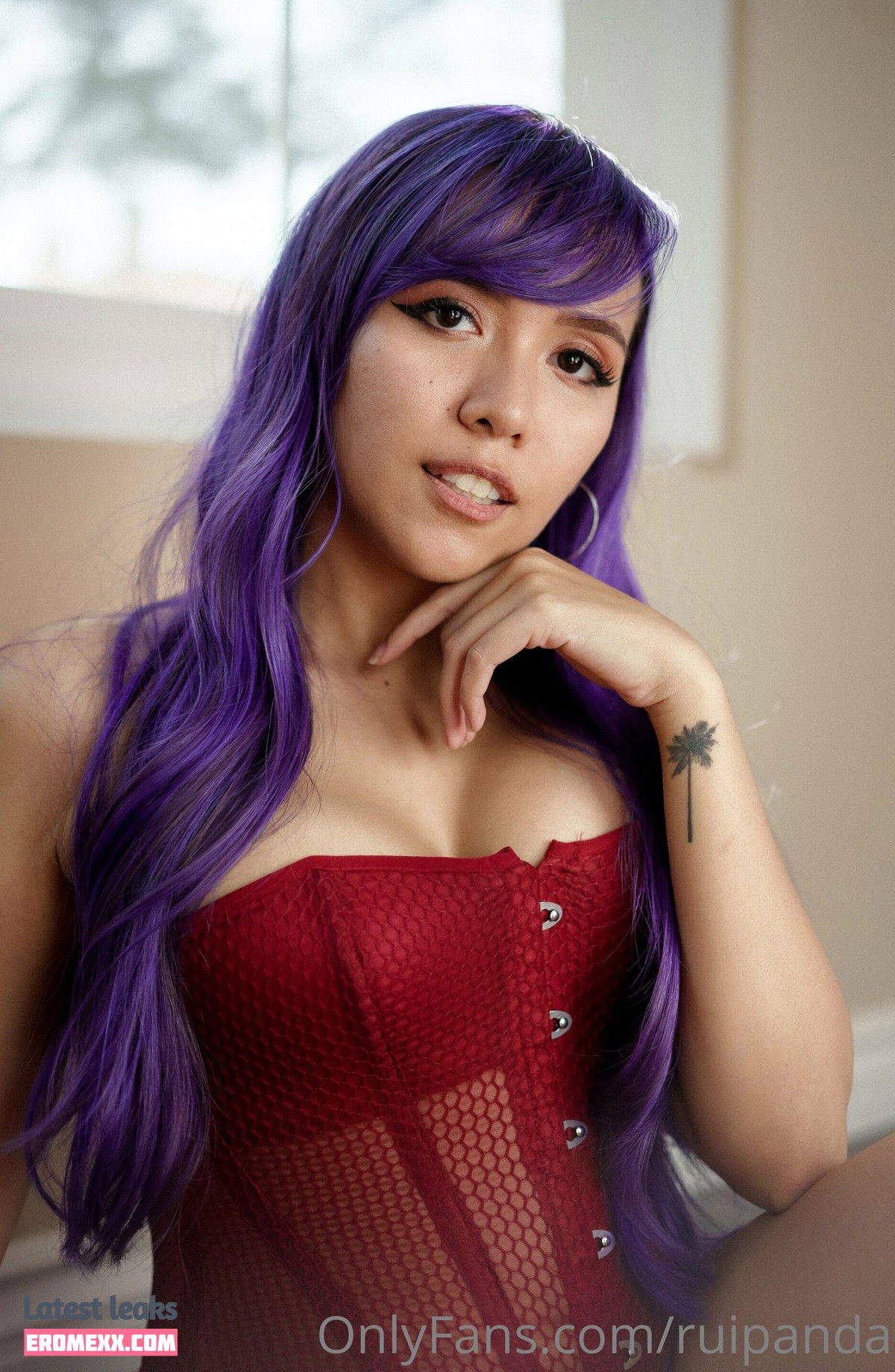 Latest Leaks Ruipandaa Nude #21 - Erome