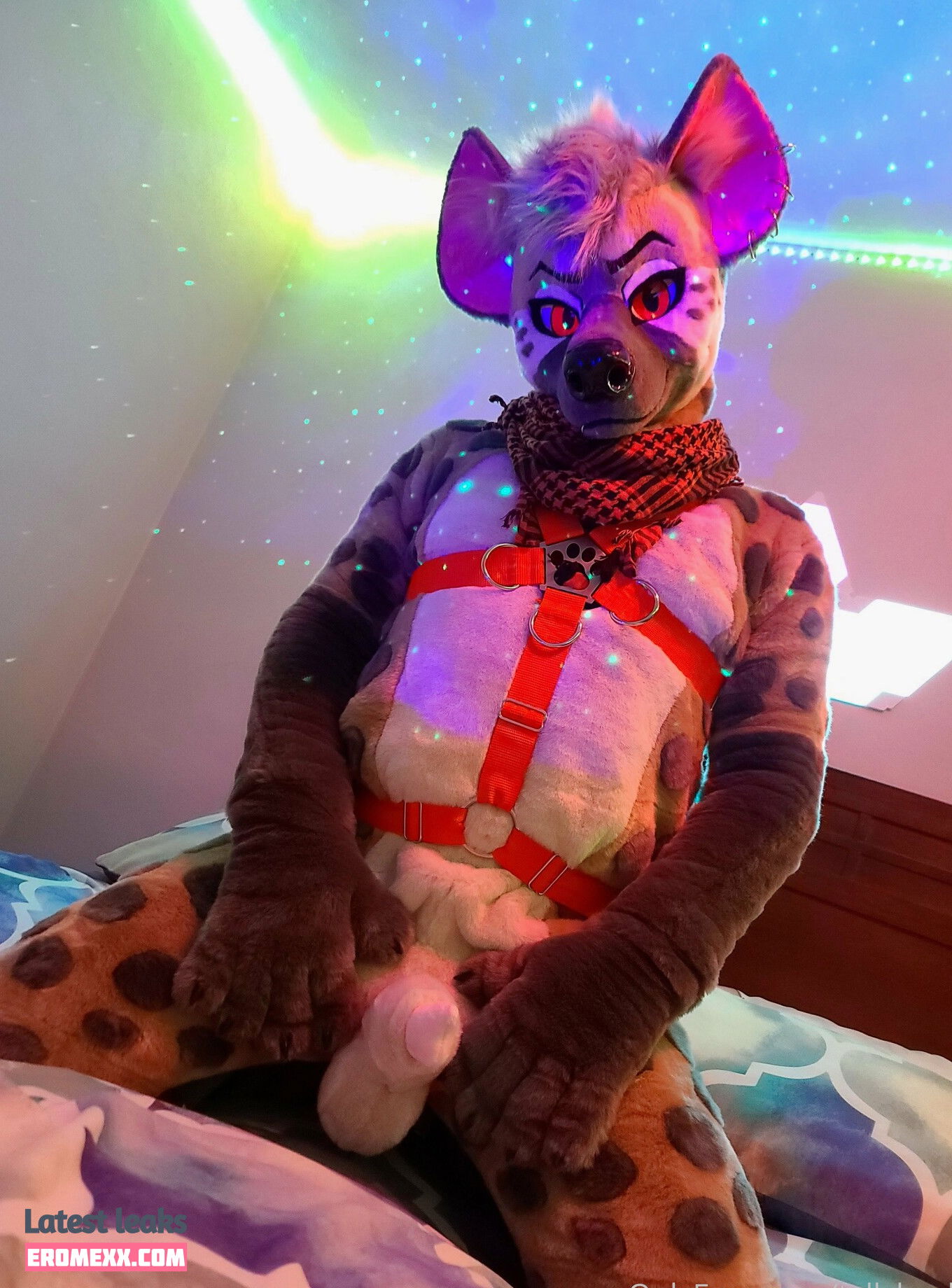 Latest Leaks ryffhyena Nude #18 - Erome