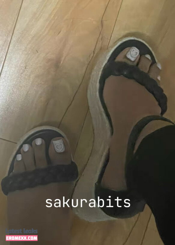 Latest Leaks Sakurabits Nude #3 - Fapello