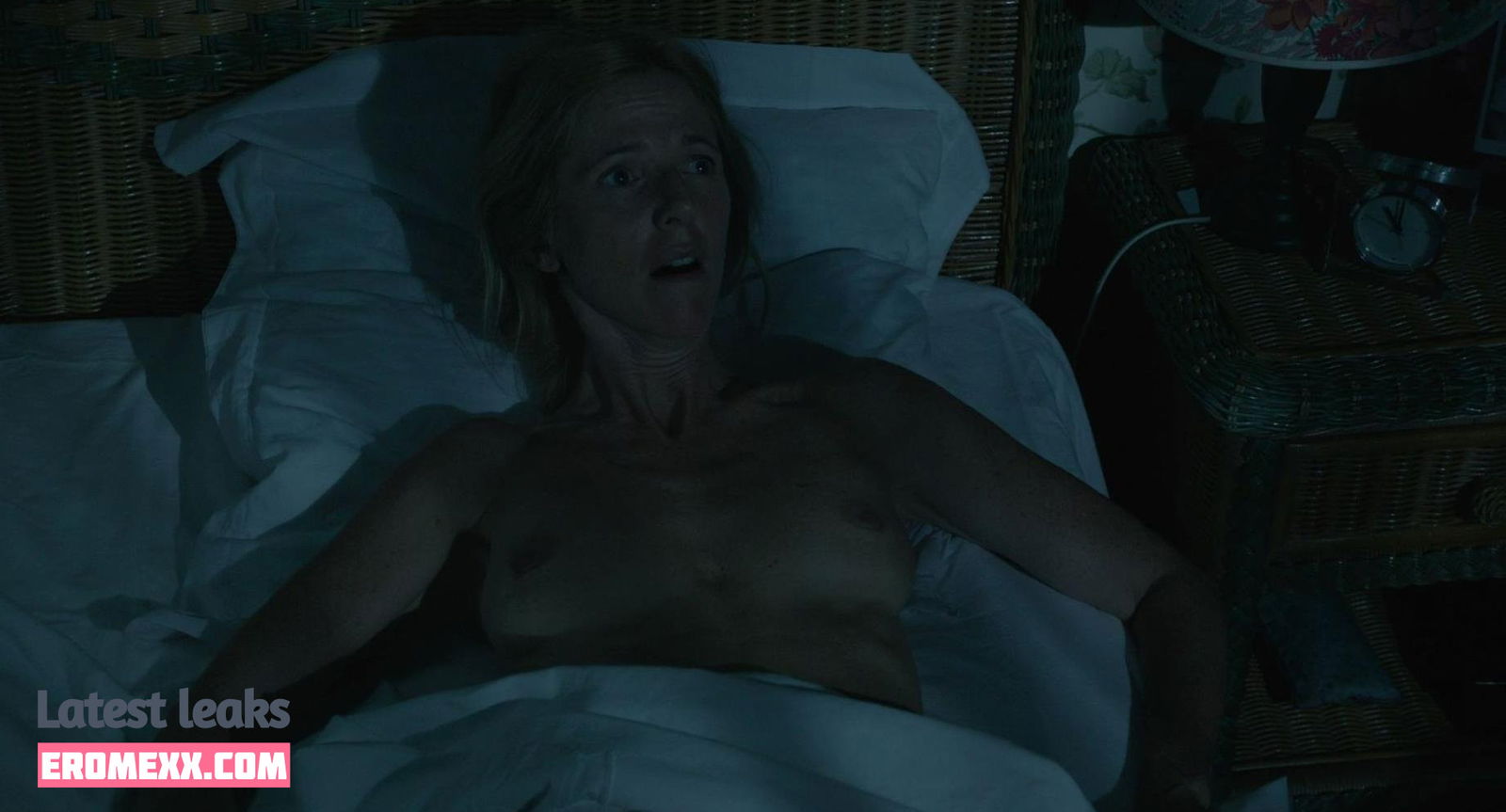 Latest Leaks Sandrine Kiberlain Nude #2 - Fapello