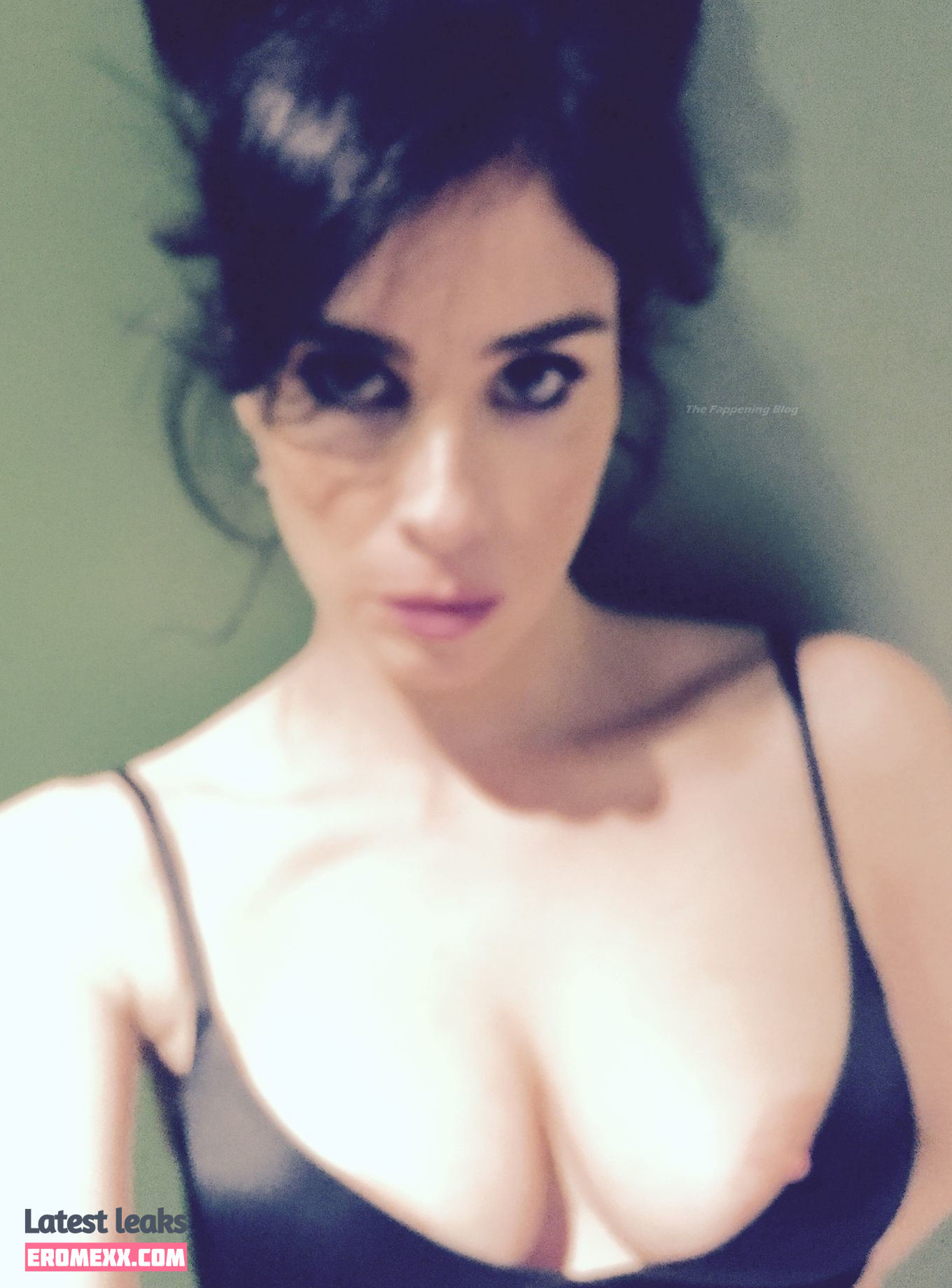 Latest Leaks Sarah Silverman Nude #221 - Fapello