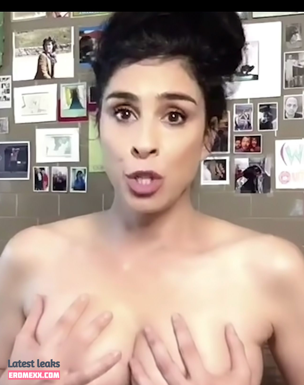Latest Leaks Sarah Silverman Nude #227 - Fapello
