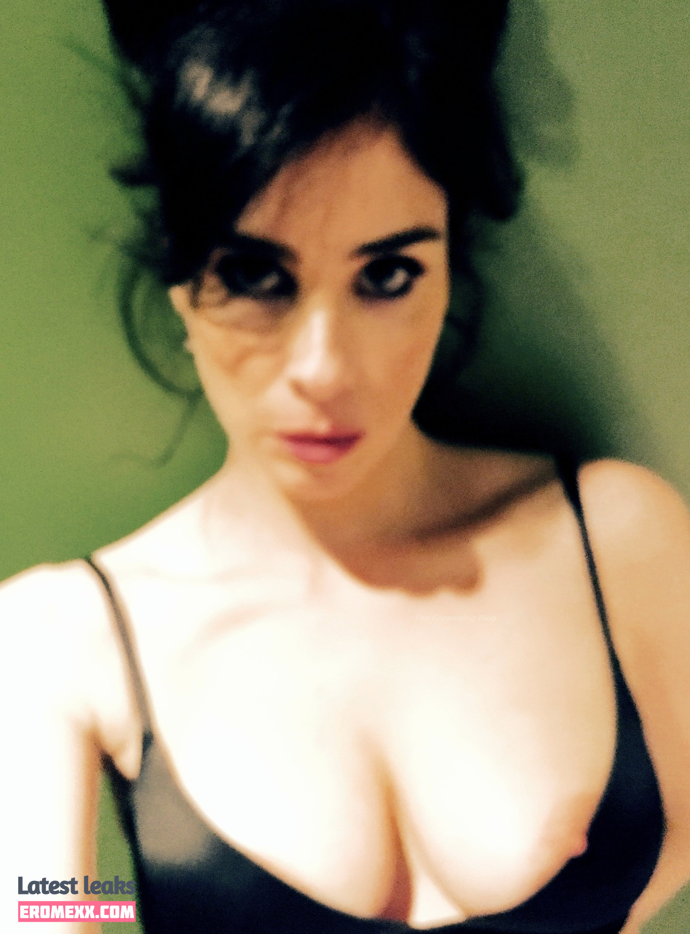 Latest Leaks Sarah Silverman Nude #302 - Fapello