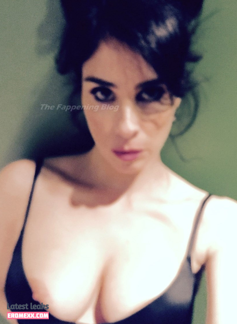 Latest Leaks Sarah Silverman Nude #306 - Fapello