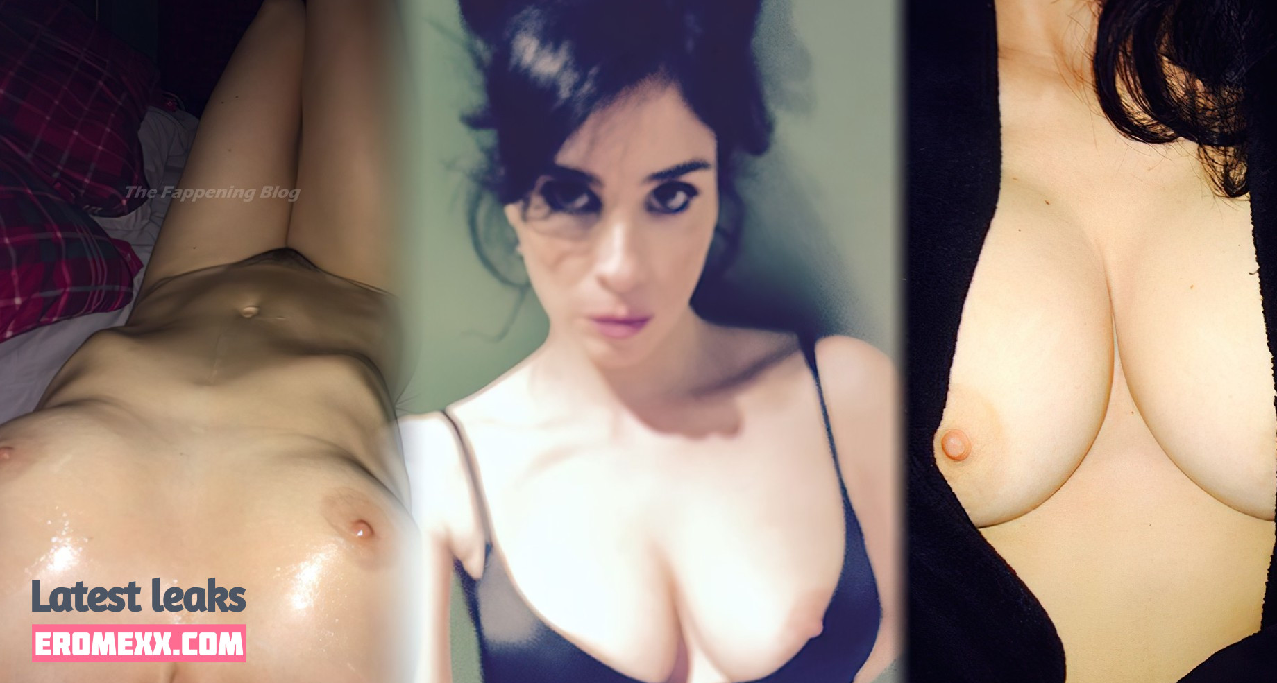 Latest Leaks Sarah Silverman Nude #312 - Fapello