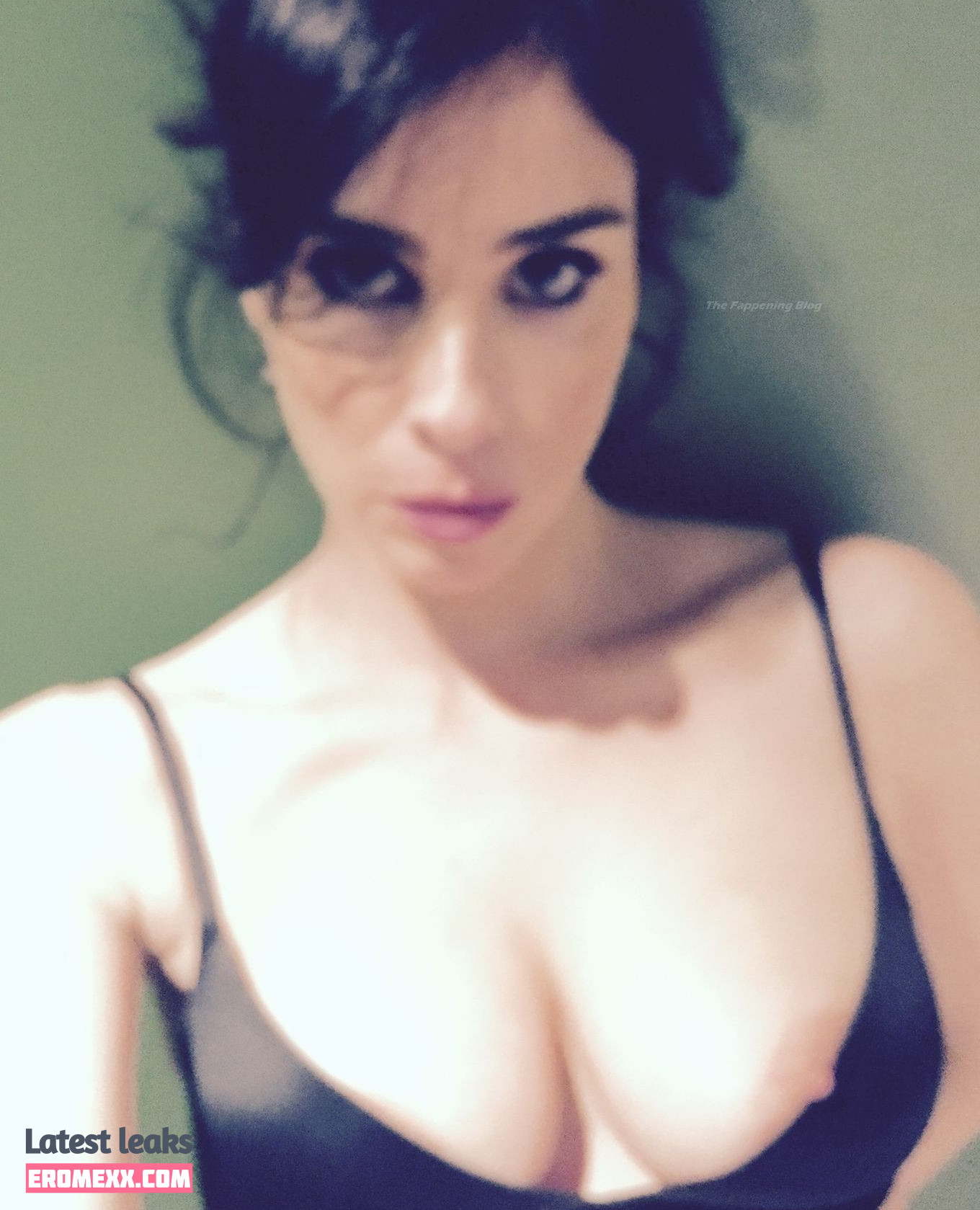 Latest Leaks Sarah Silverman Nude #330 - Fapello