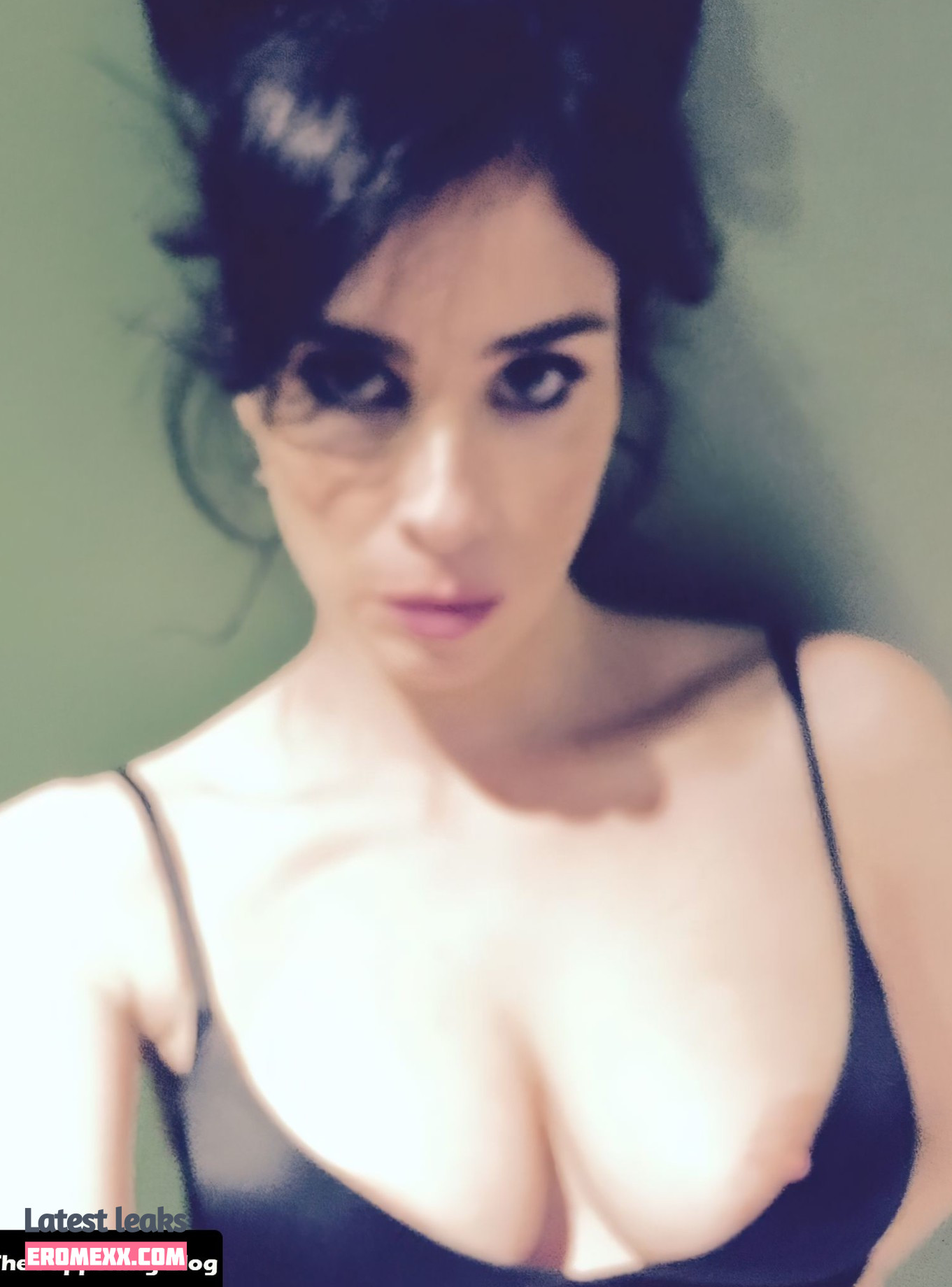 Latest Leaks Sarah Silverman Nude #379 - Fapello