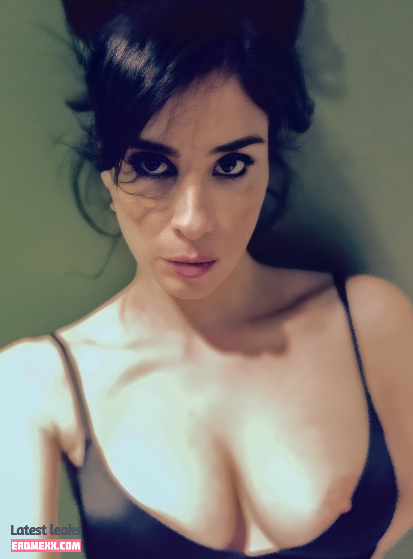 Latest Leaks Sarah Silverman Nude #425 - Fapello