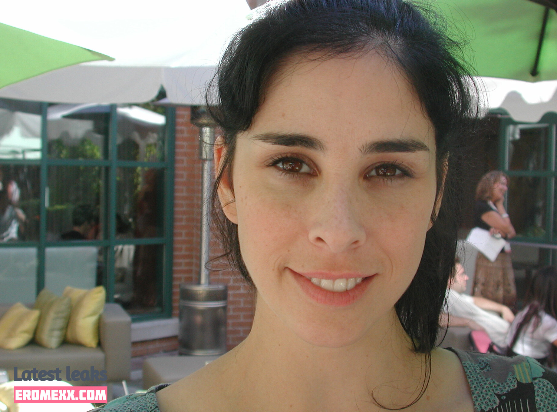 Latest Leaks Sarah Silverman Nude #451 - Fapello