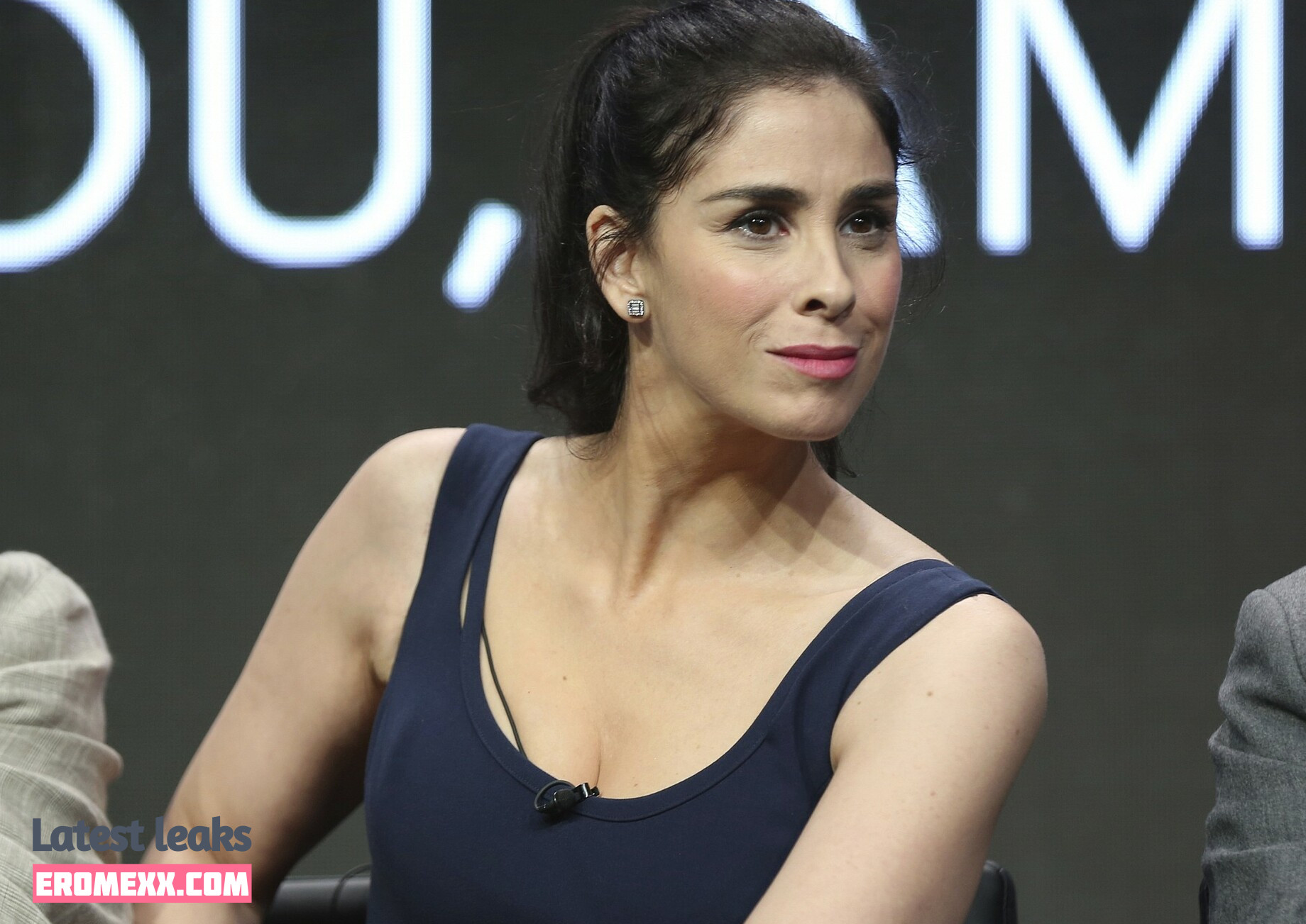 Latest Leaks Sarah Silverman Nude #468 - Fapello