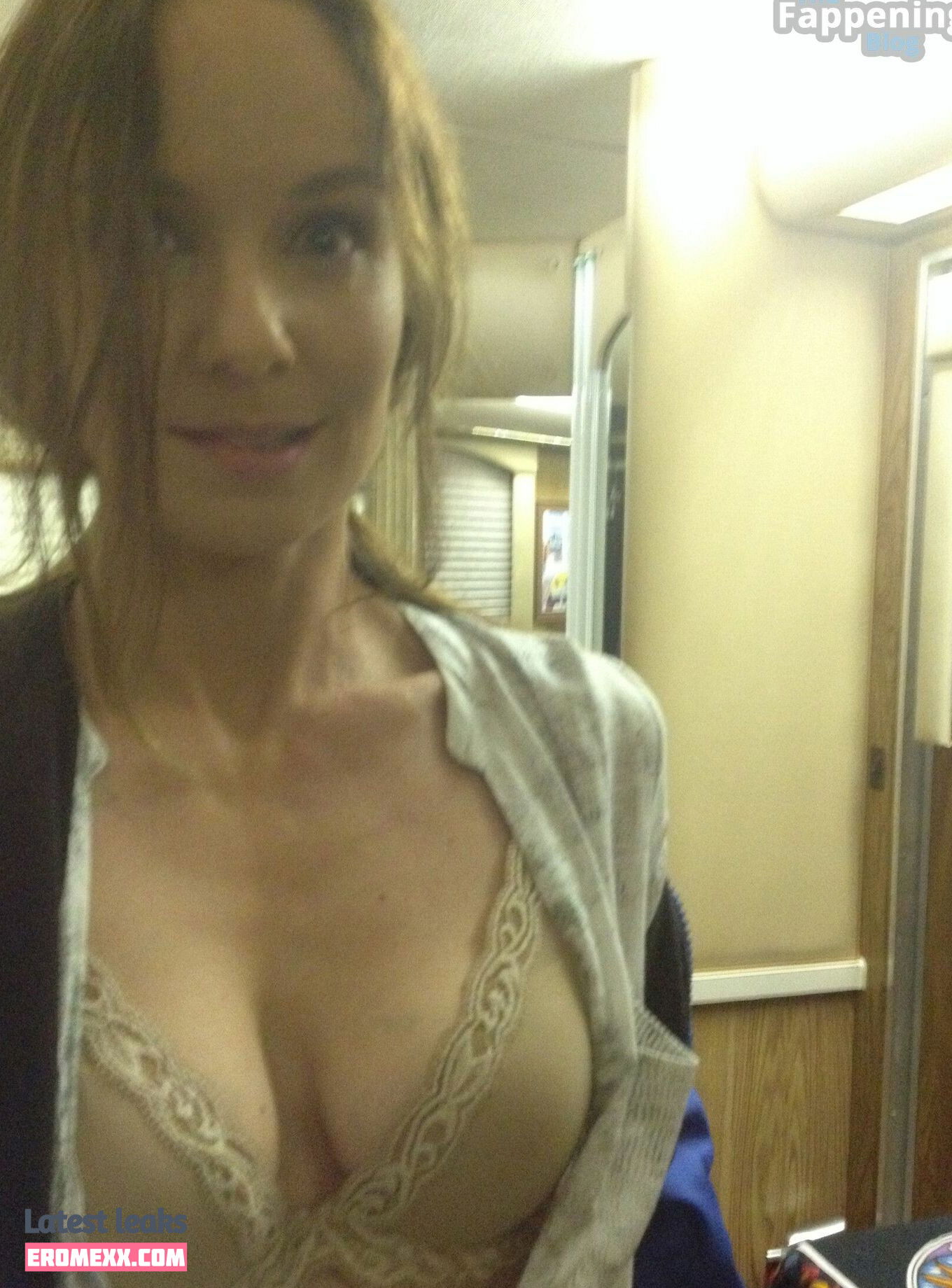 Latest Leaks Sarah Wayne Callies Nude #53 - Fapello