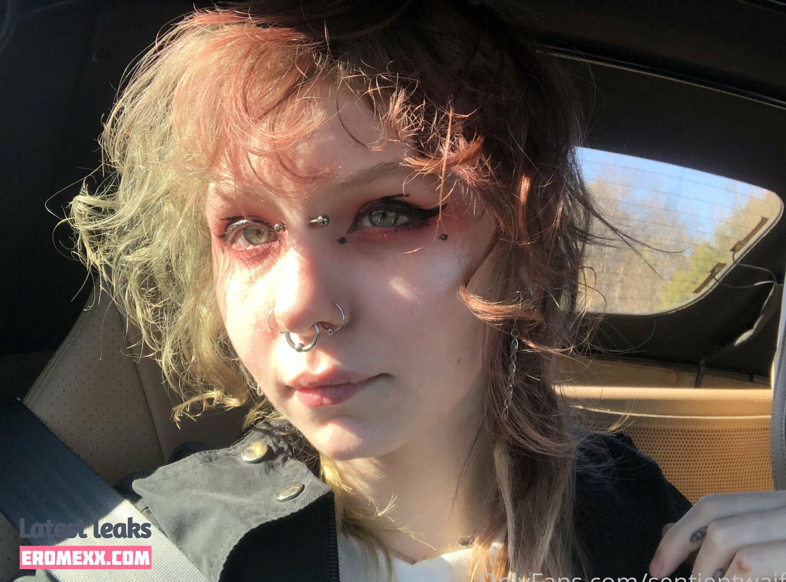 Latest Leaks sentientwaifu Nude #2 - Fapello