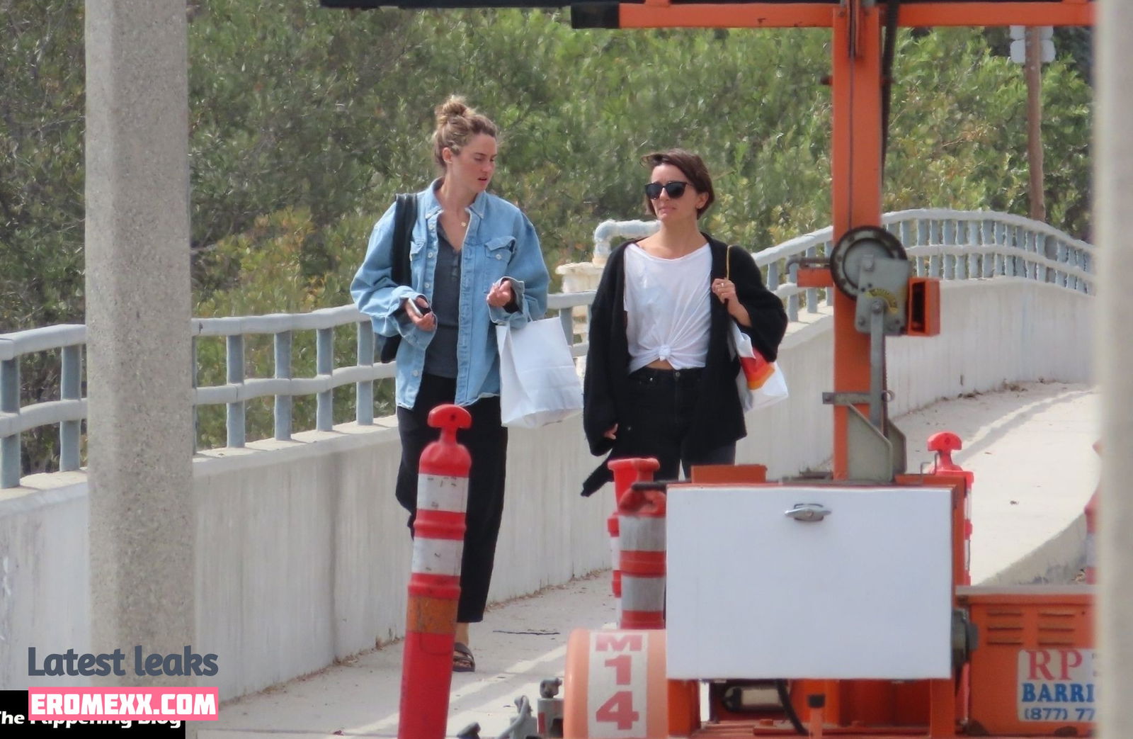 Latest Leaks Shailene Woodley Nude #791 - Fapello