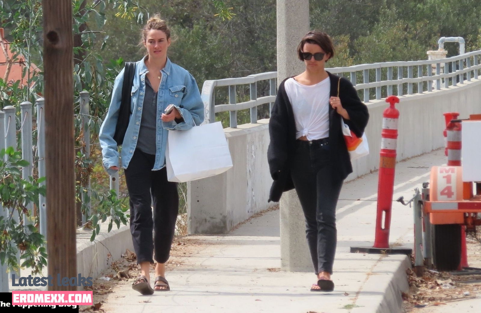 Latest Leaks Shailene Woodley Nude #794 - Fapello