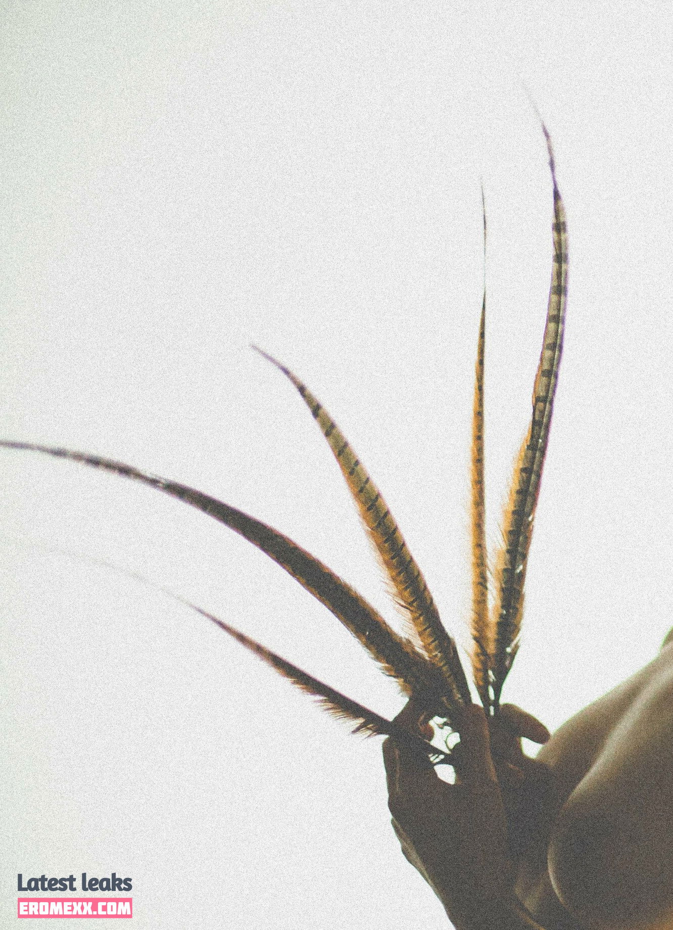 Latest Leaks simonsaysarah Nude #4 - Erome