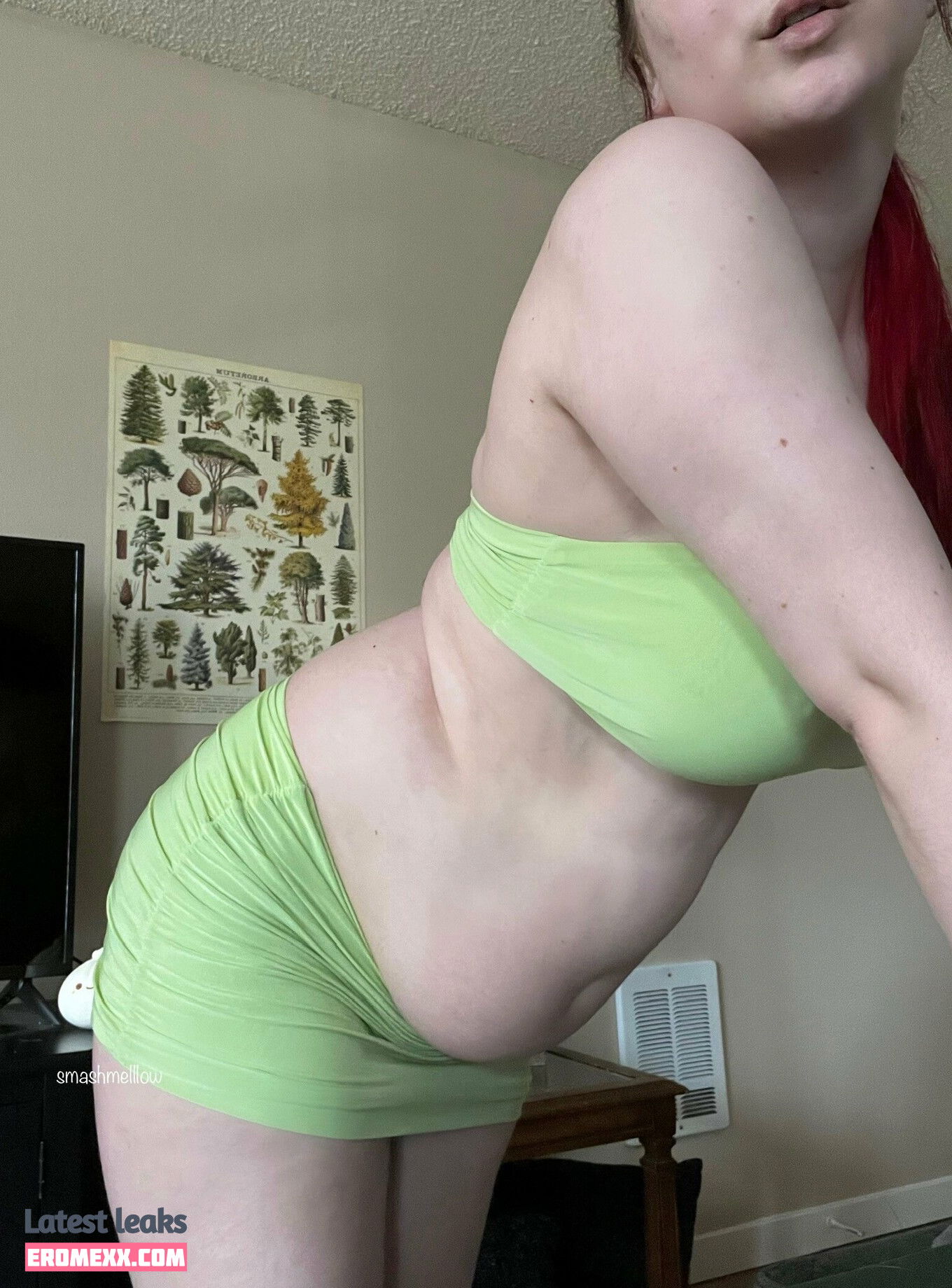 Latest Leaks smashmelllow Nude #35 - Erome