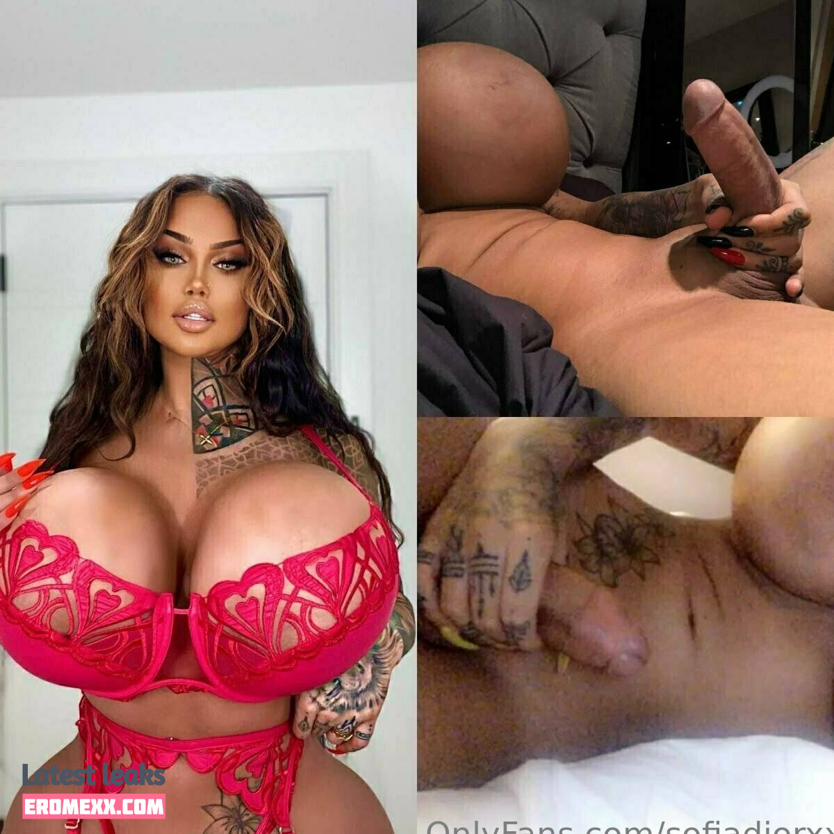 Latest Leaks sofiadiorxxl Nude #48 - Fapello