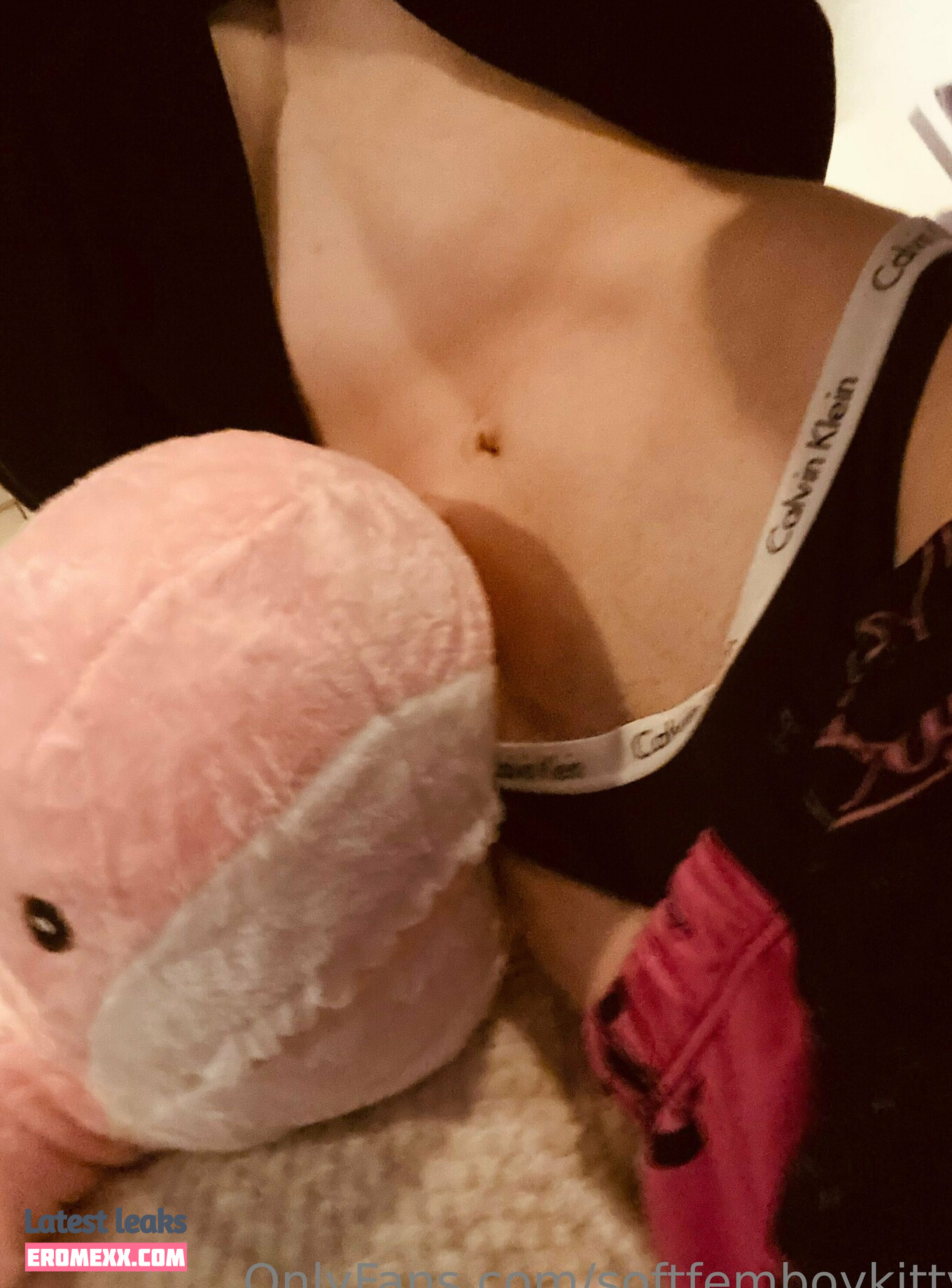 Latest Leaks softfemboykitty Nude #48 - Fapello