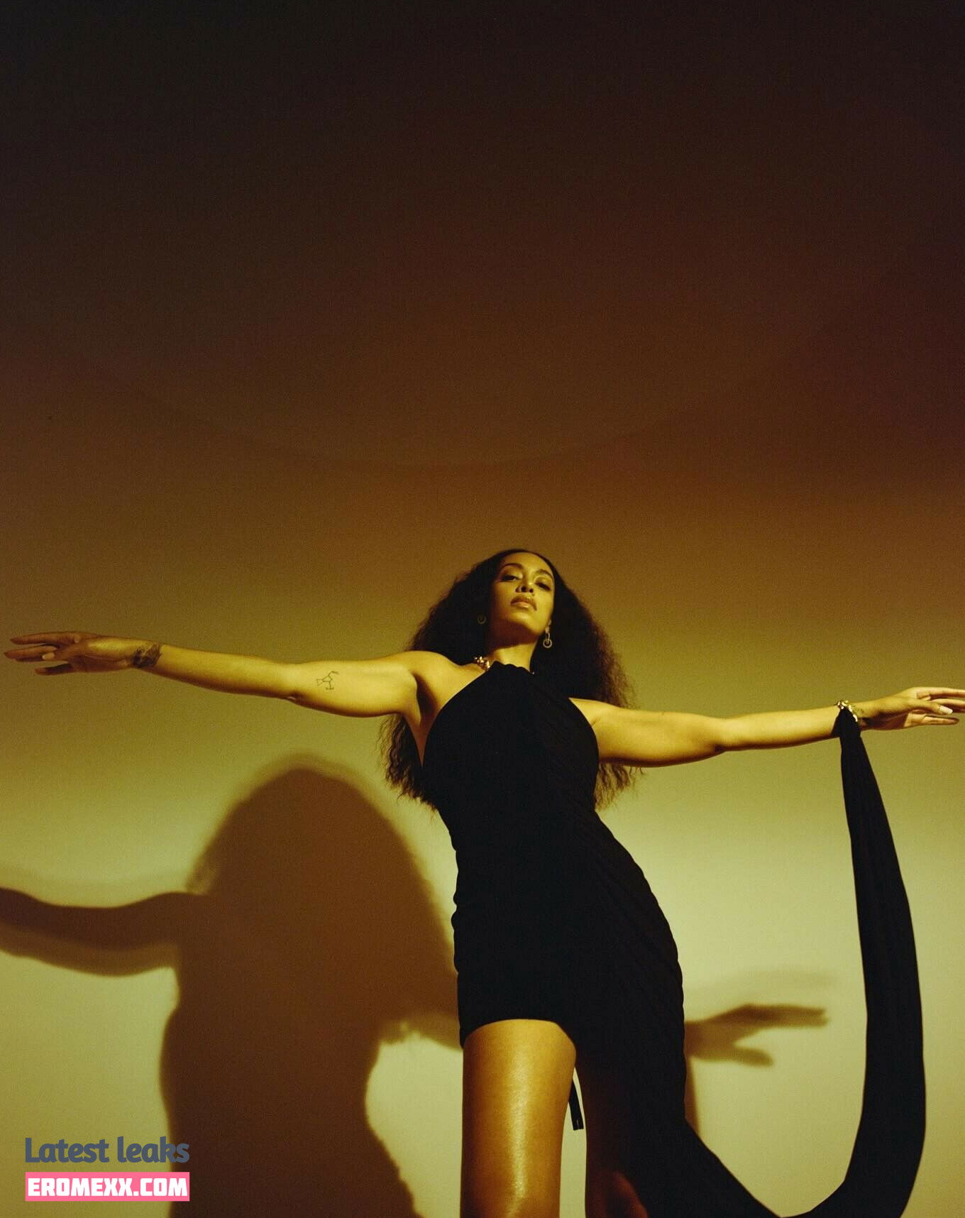 Latest Leaks Solange Knowles Nude #29 - Erome