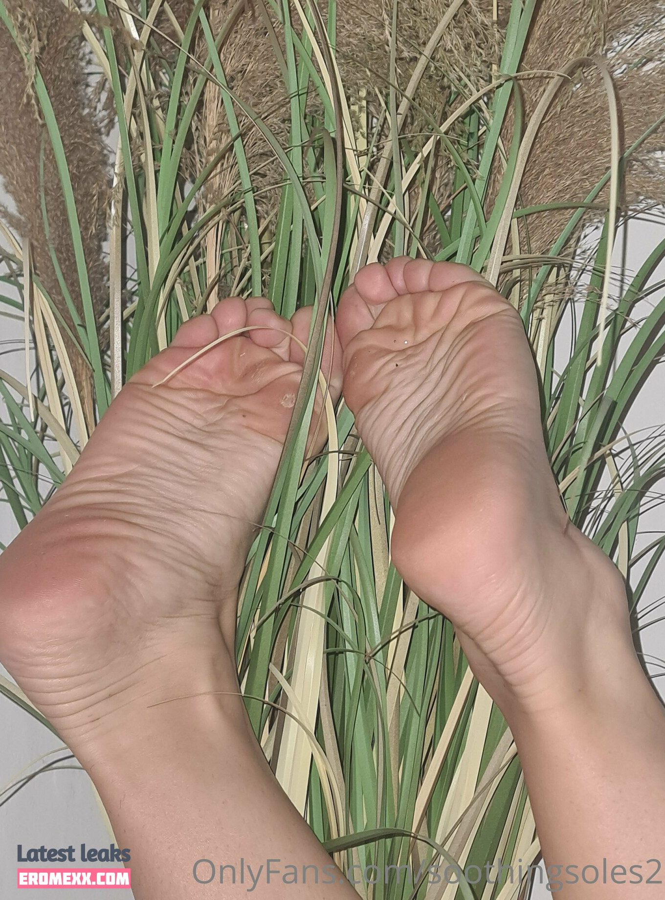 Latest Leaks soothingsoles26 Nude #1 - Fapello