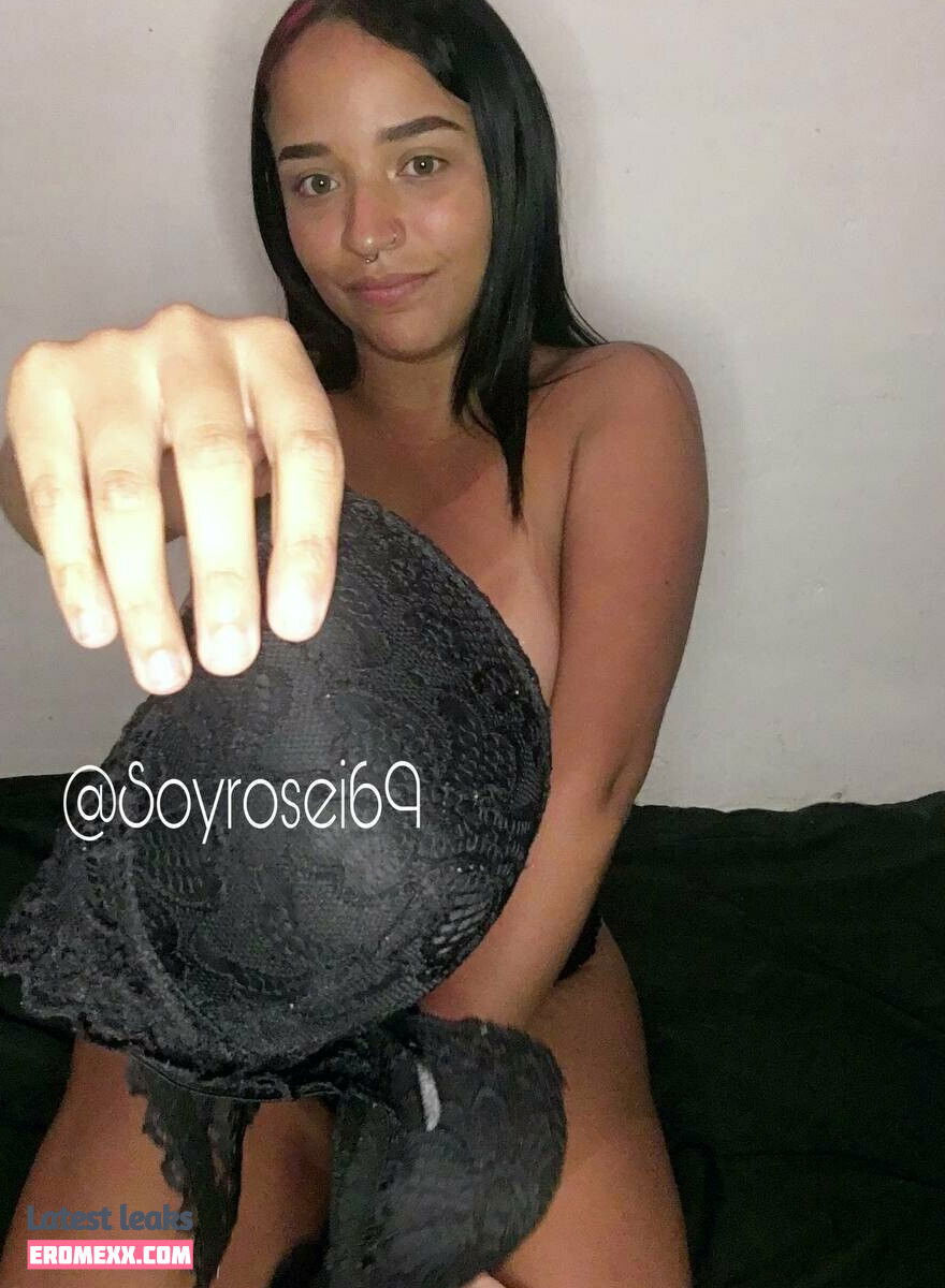 Latest Leaks soyrosei69 Nude #24 - Erome