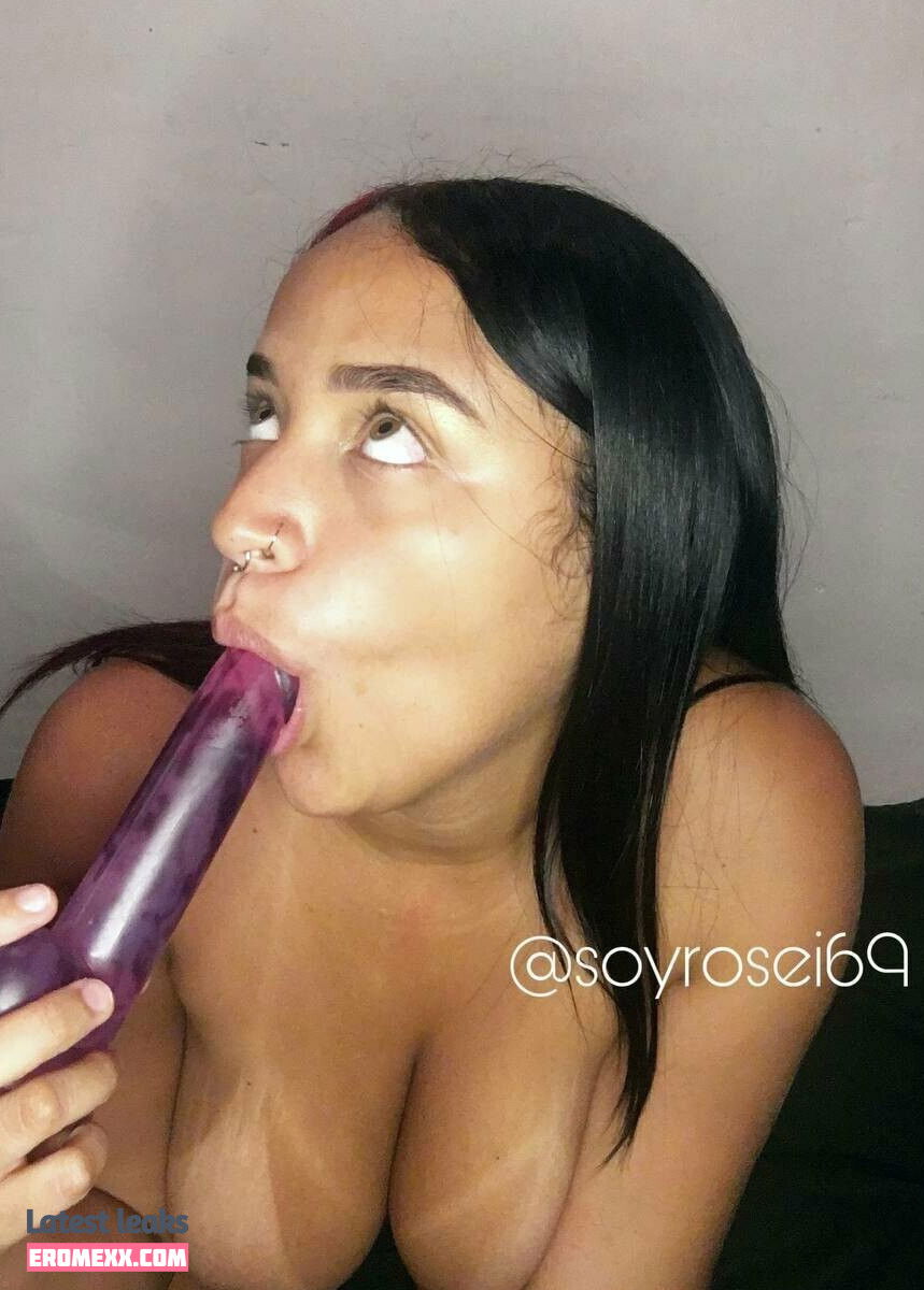 Latest Leaks soyrosei69 Nude #28 - Erome