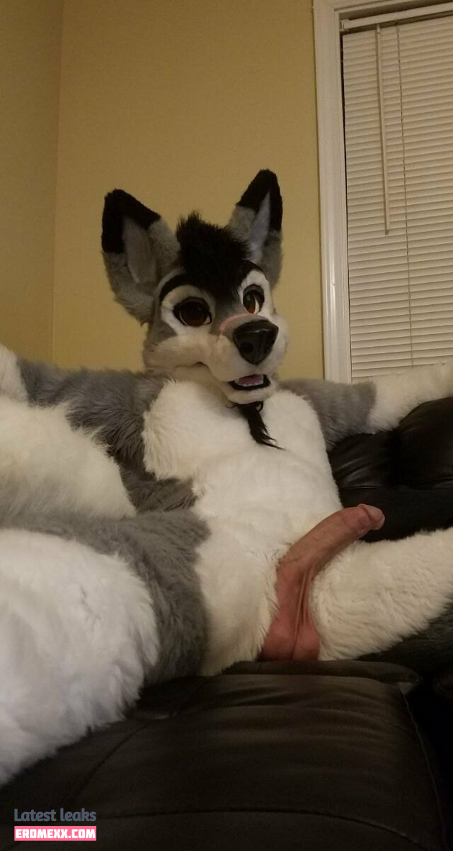 Latest Leaks stallionwolf Nude #6 - Fapello