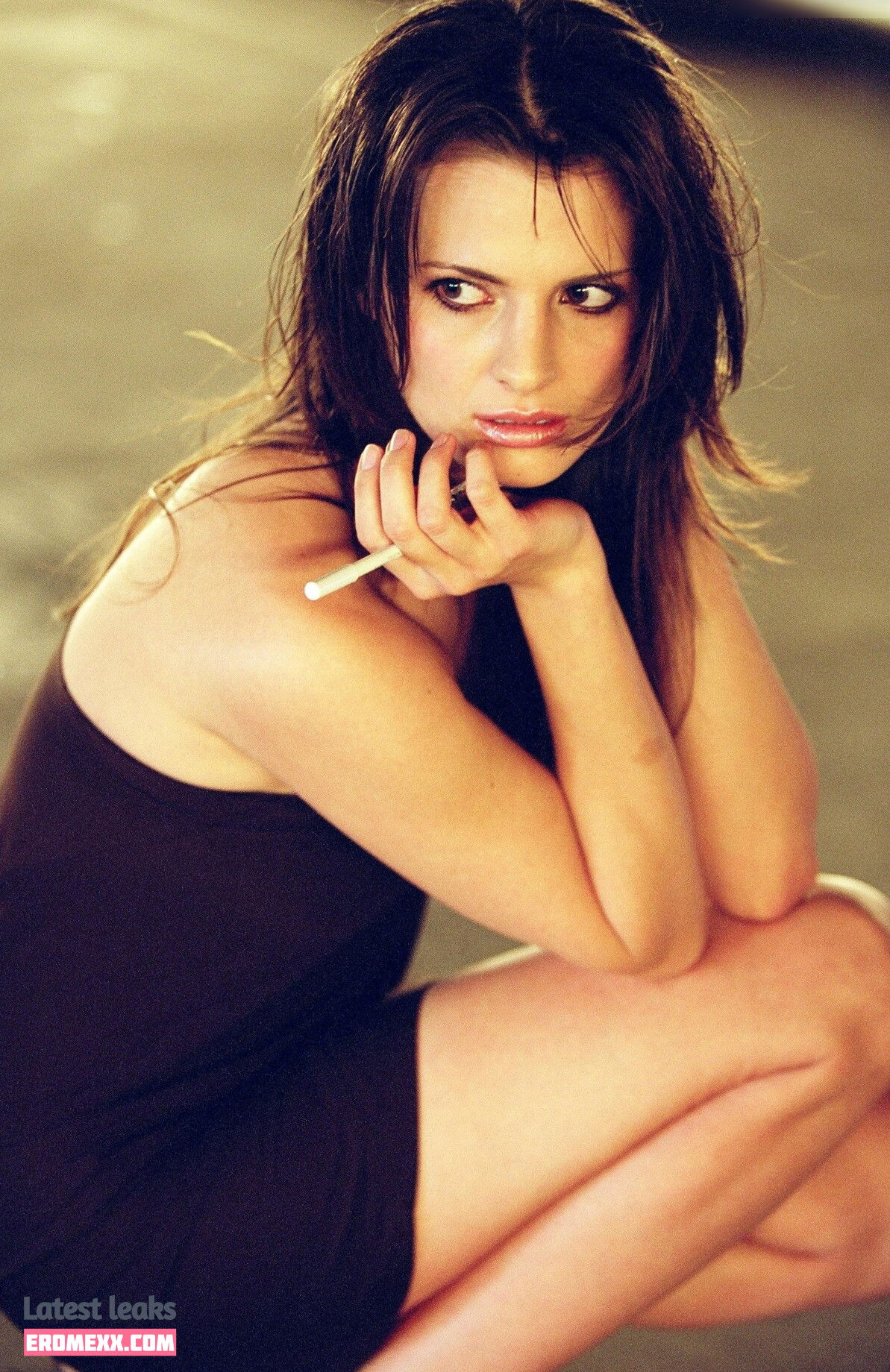 Latest Leaks Stana Katic Nude #202 - Erome